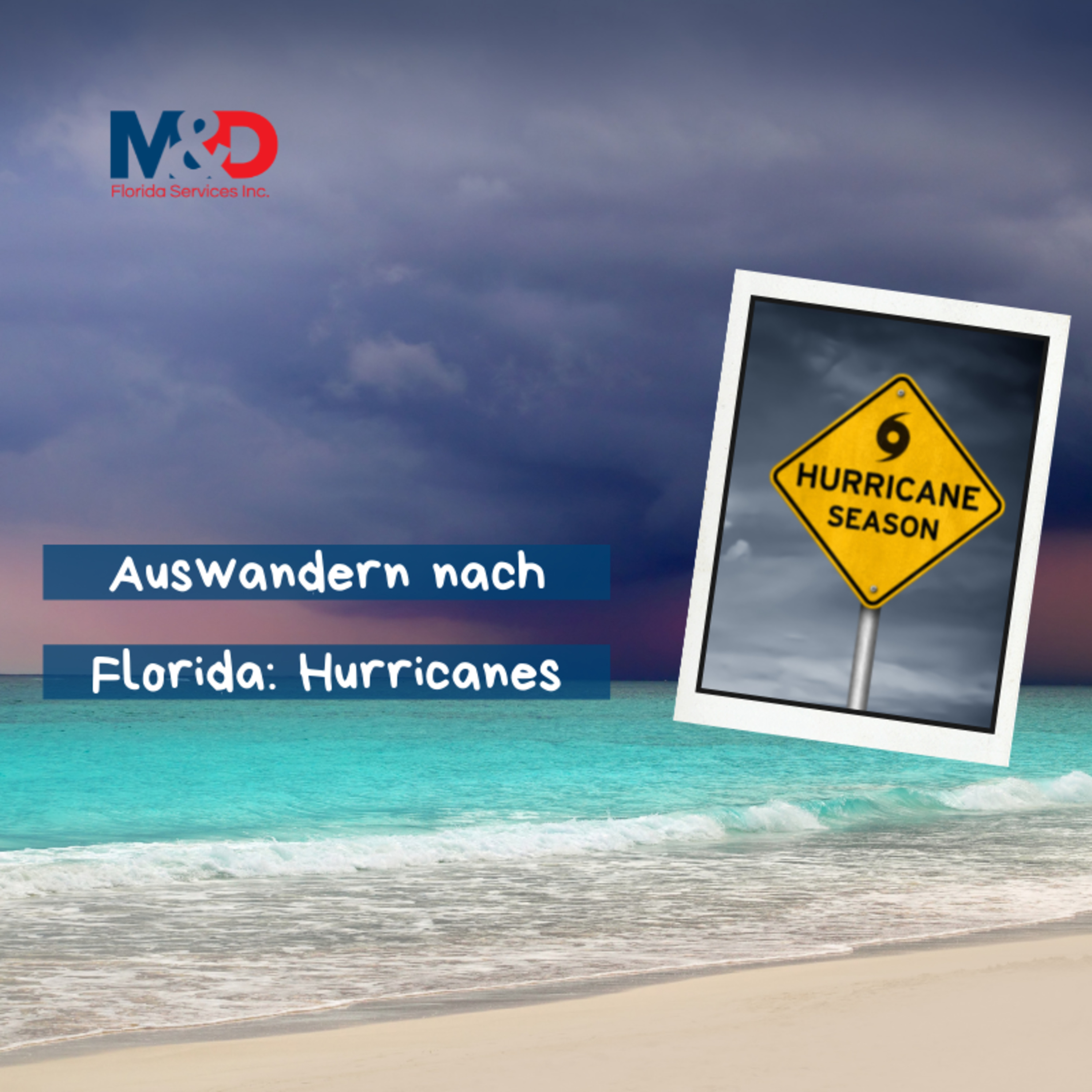 Leben und Arbeiten in den USA by M&D Florida Services Inc.
