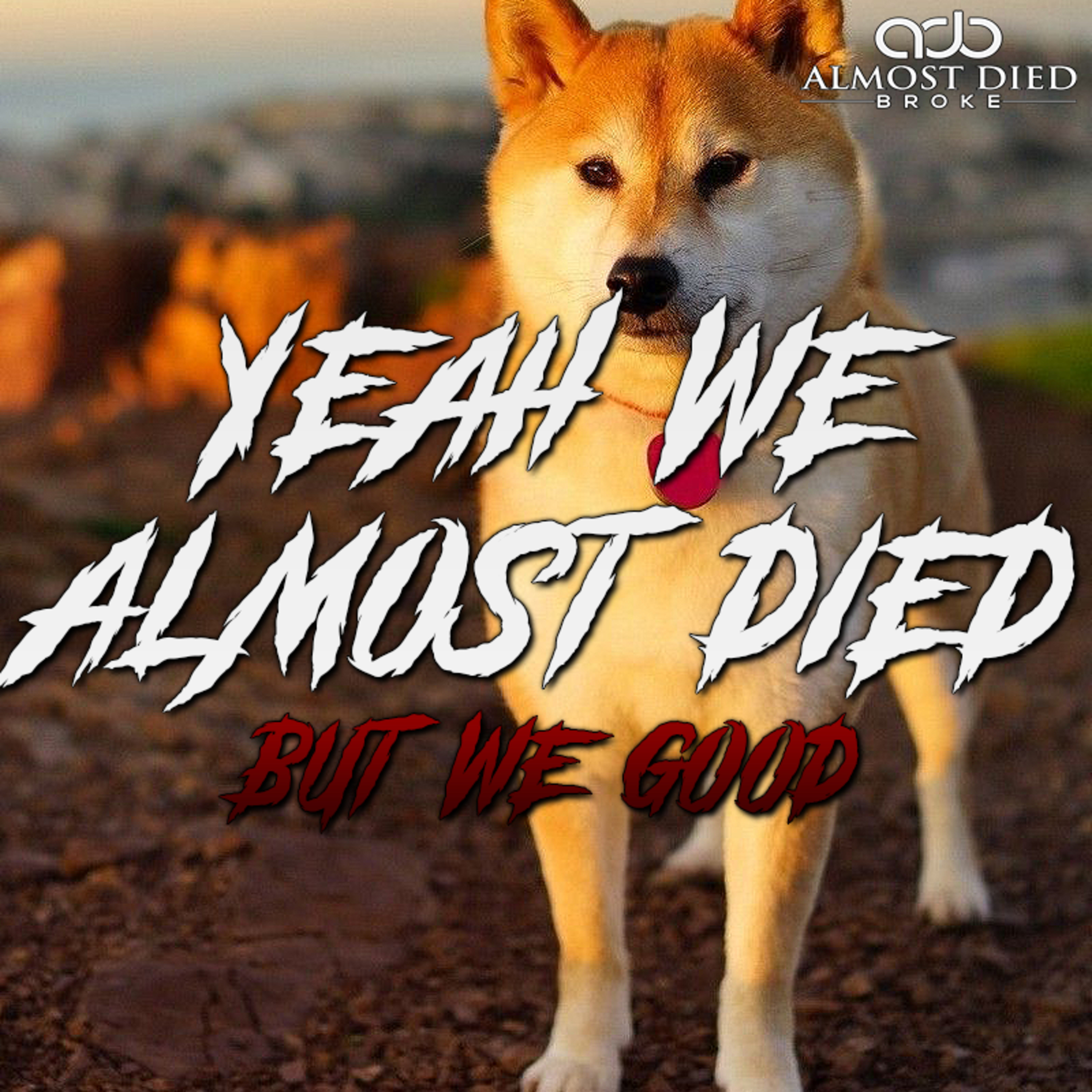 BE CAREFUL WITH SHIBA... episode artwork