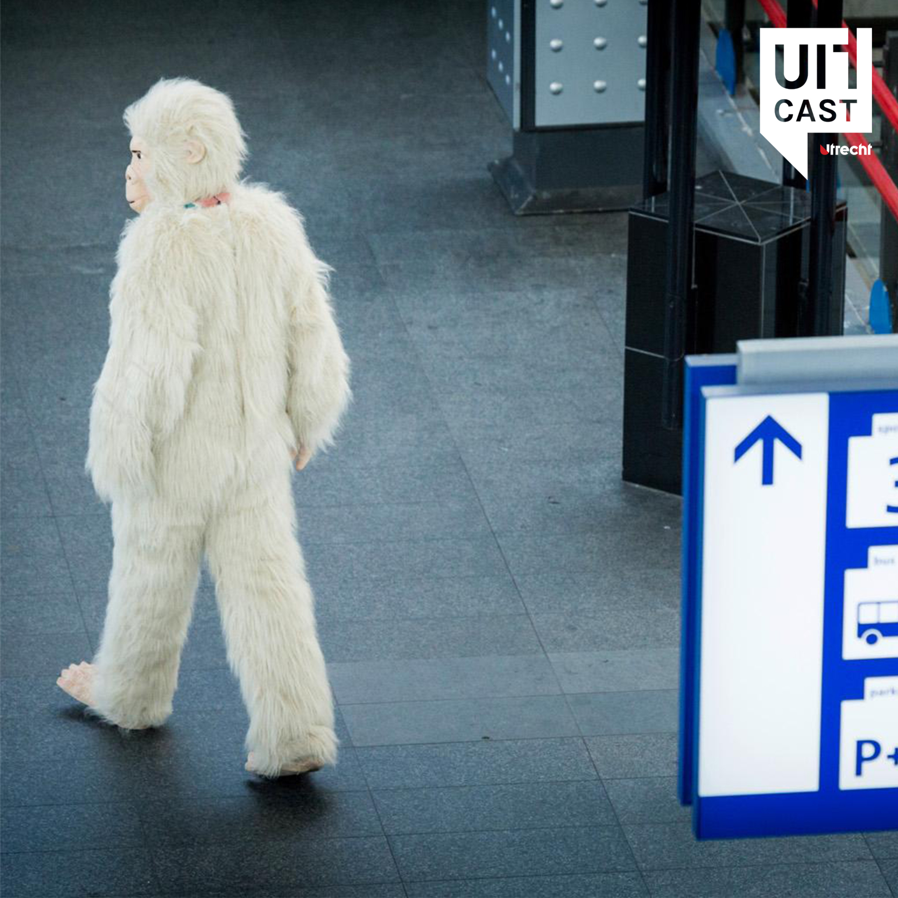 Utrecht Uitcast