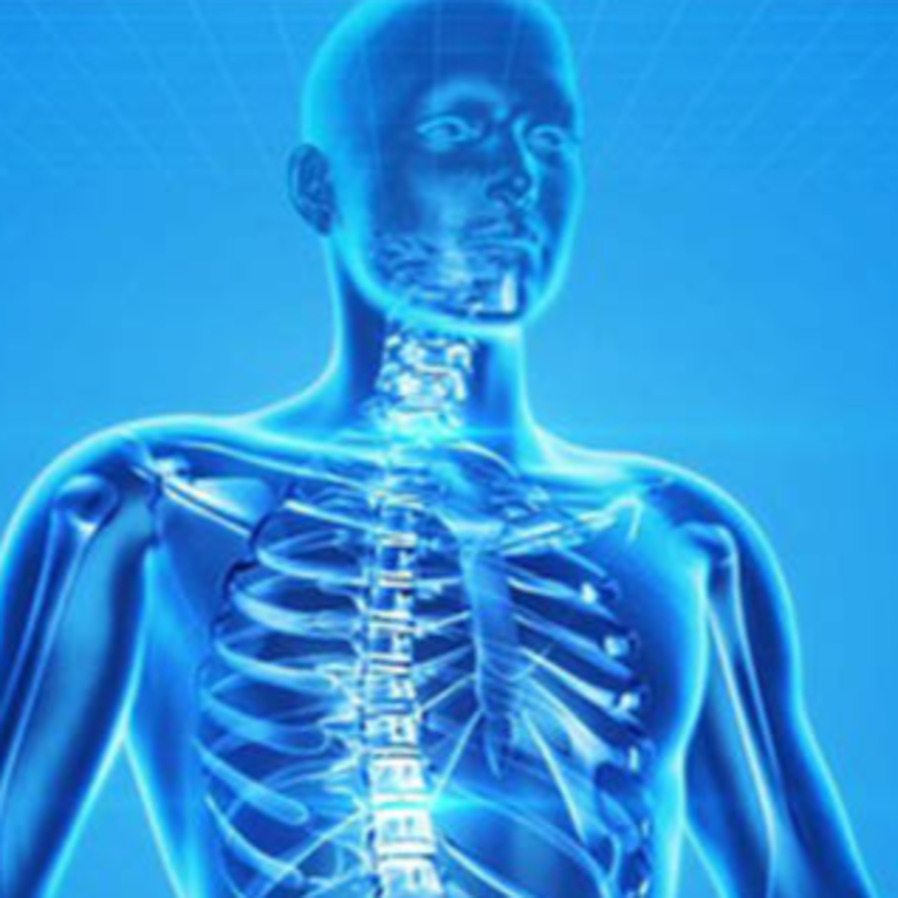 Amazing facts about human body episode artwork