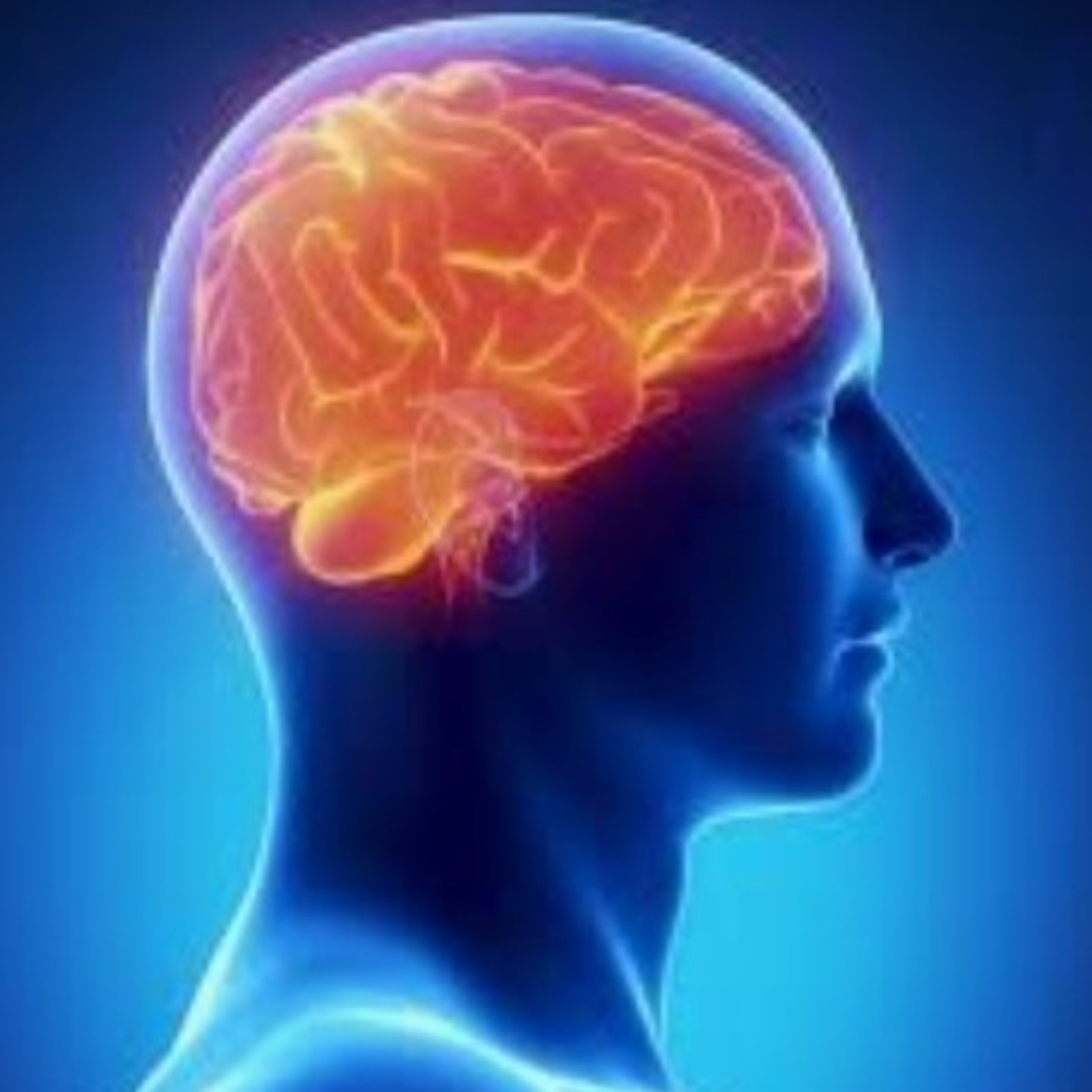 Amazing facts about ‘HUMAN BRAIN’ [In Hindi] episode artwork