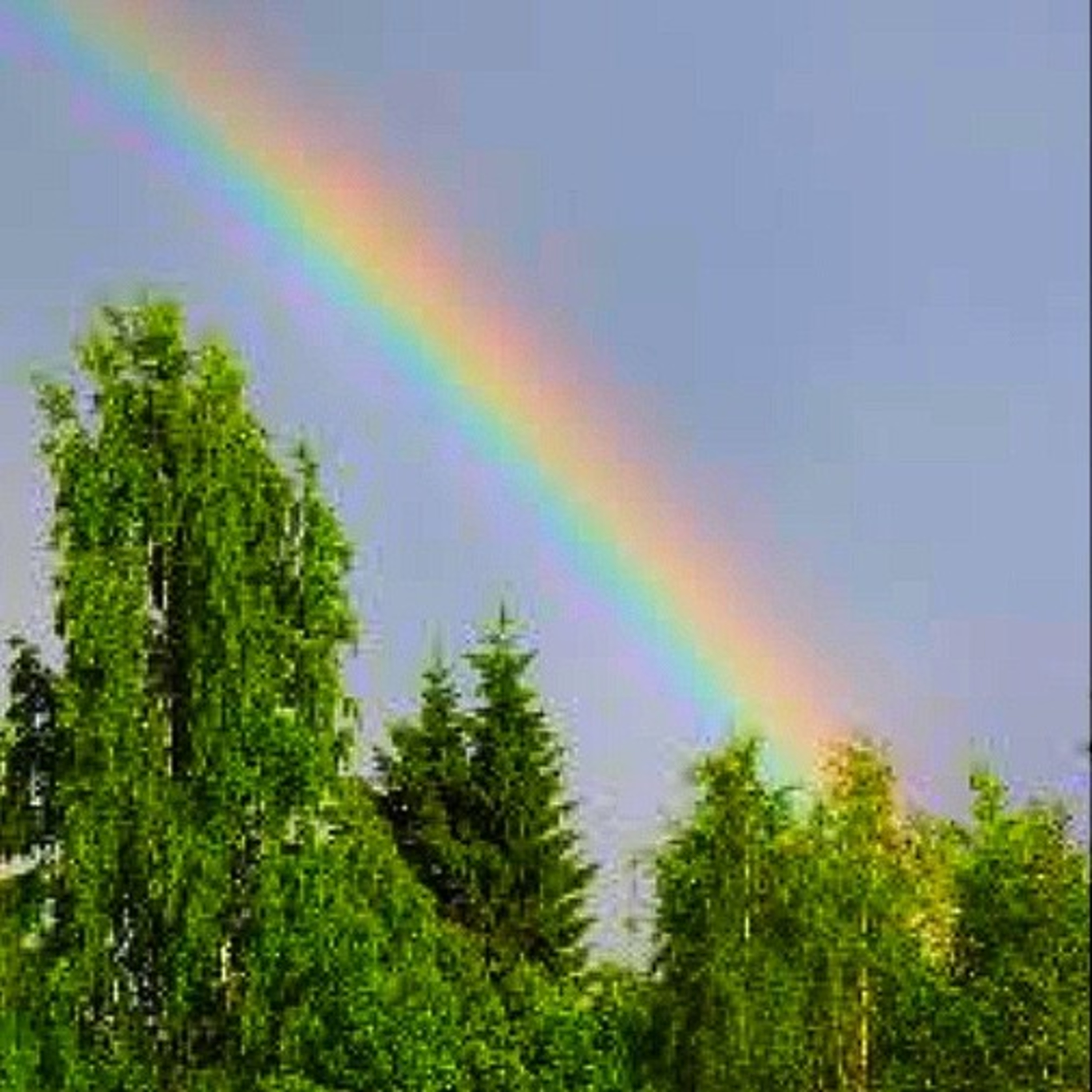 10~ Wonderful facts in hindi about ‘RAINBOW’🌈 episode artwork