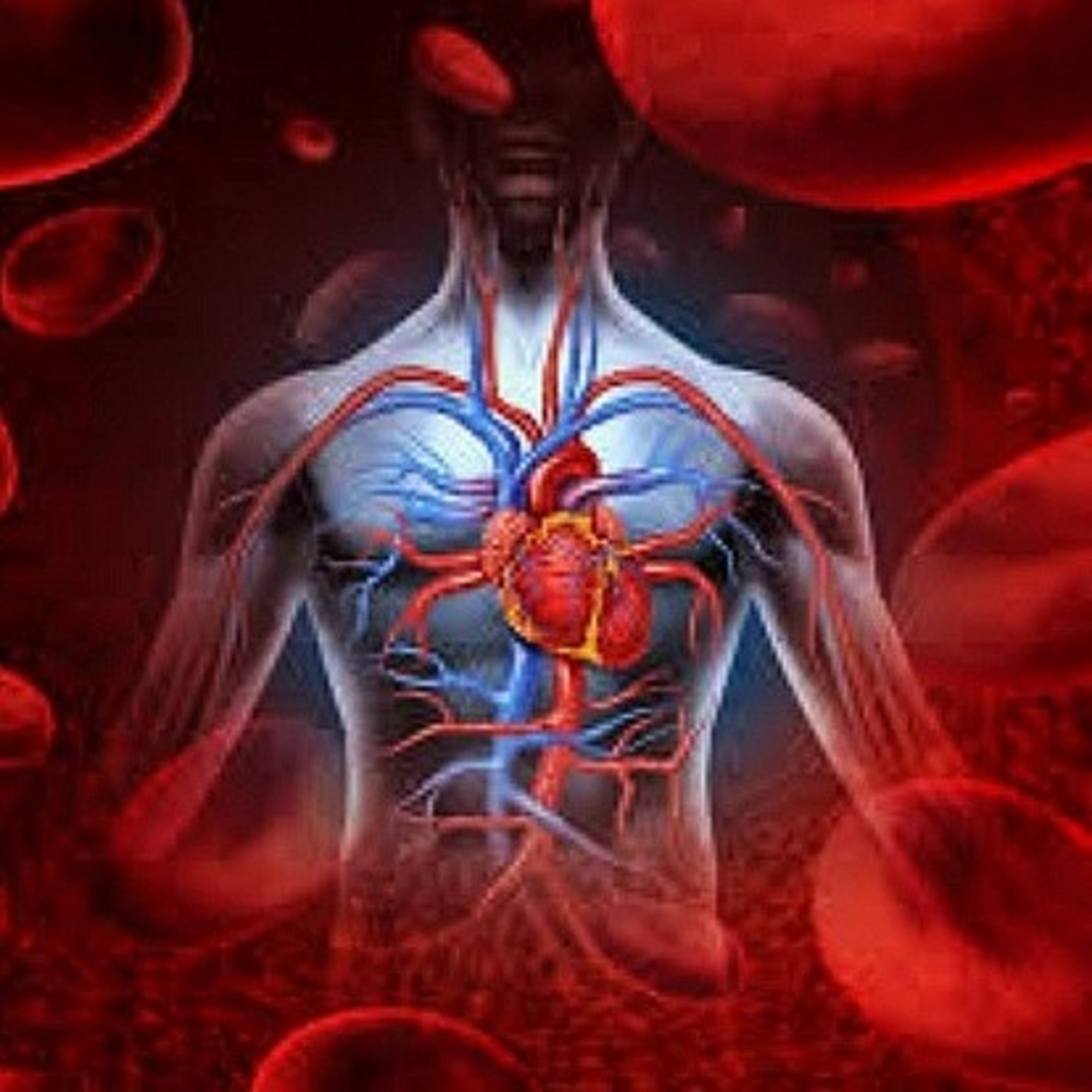 Amazing facts about ‘HEART’ [In Hindi] episode artwork