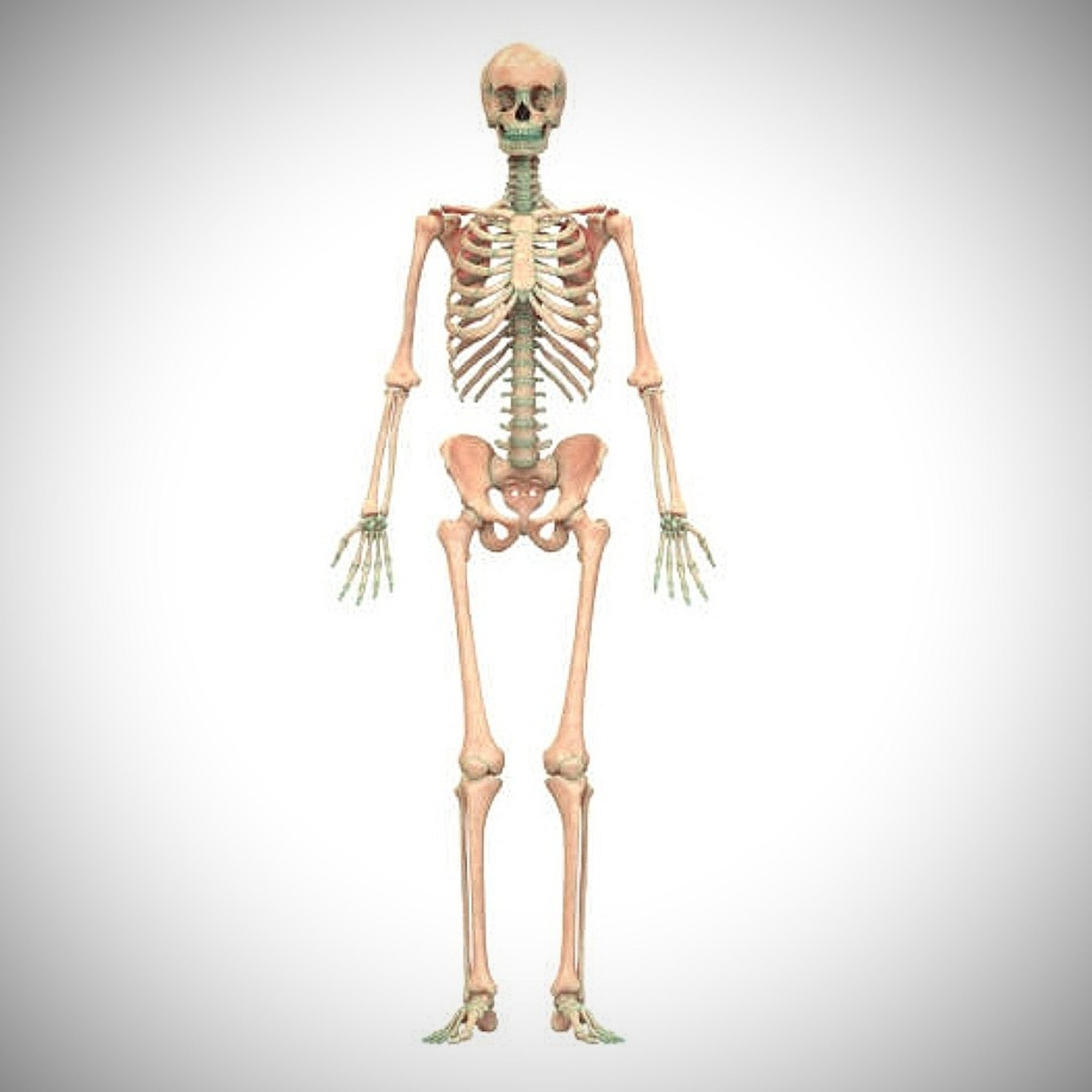 Surprising facts about ‘Human Bones’ [In Hindi] episode artwork