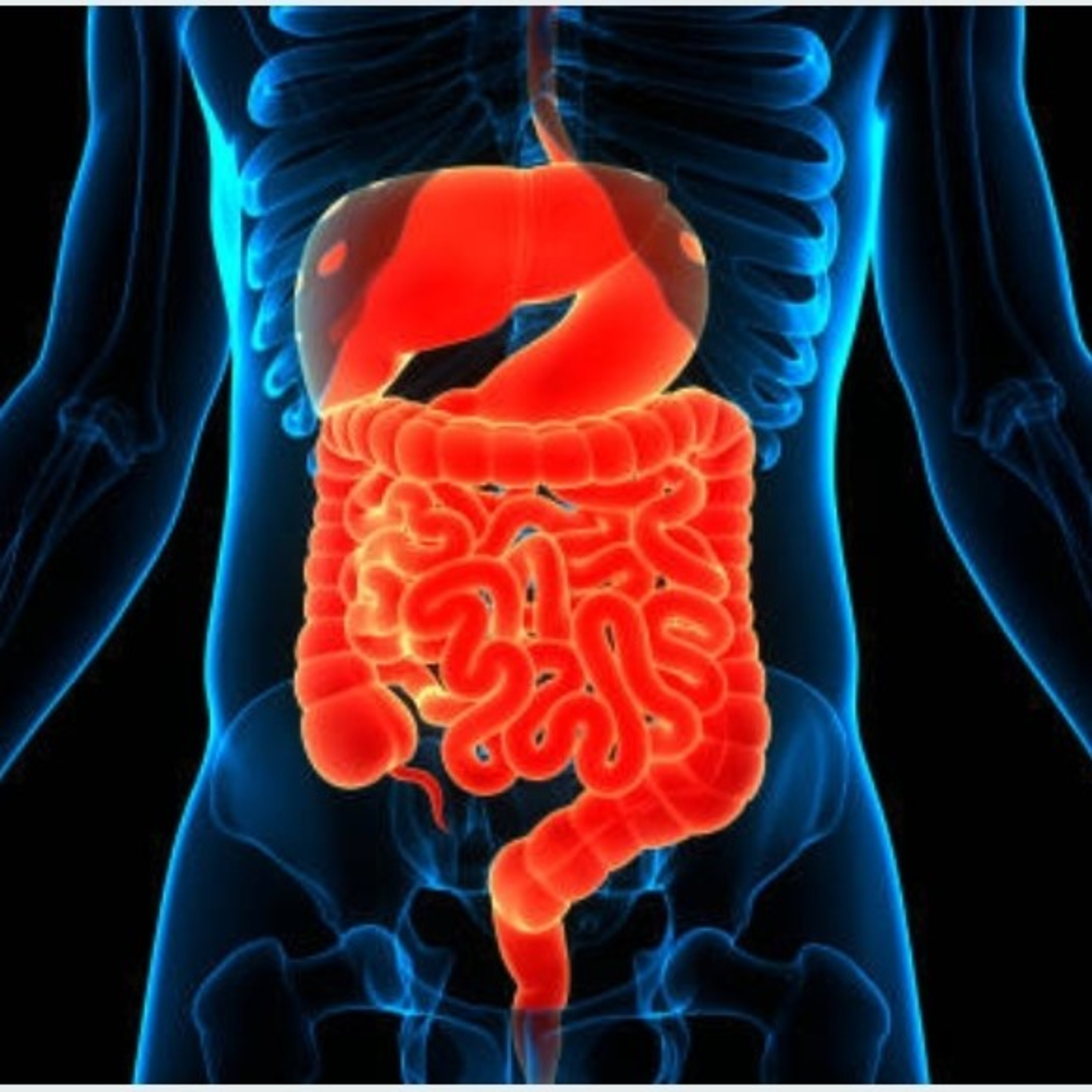 Unbelievable facts about ‘Human's Small Intestine’ [In Hindi] episode artwork
