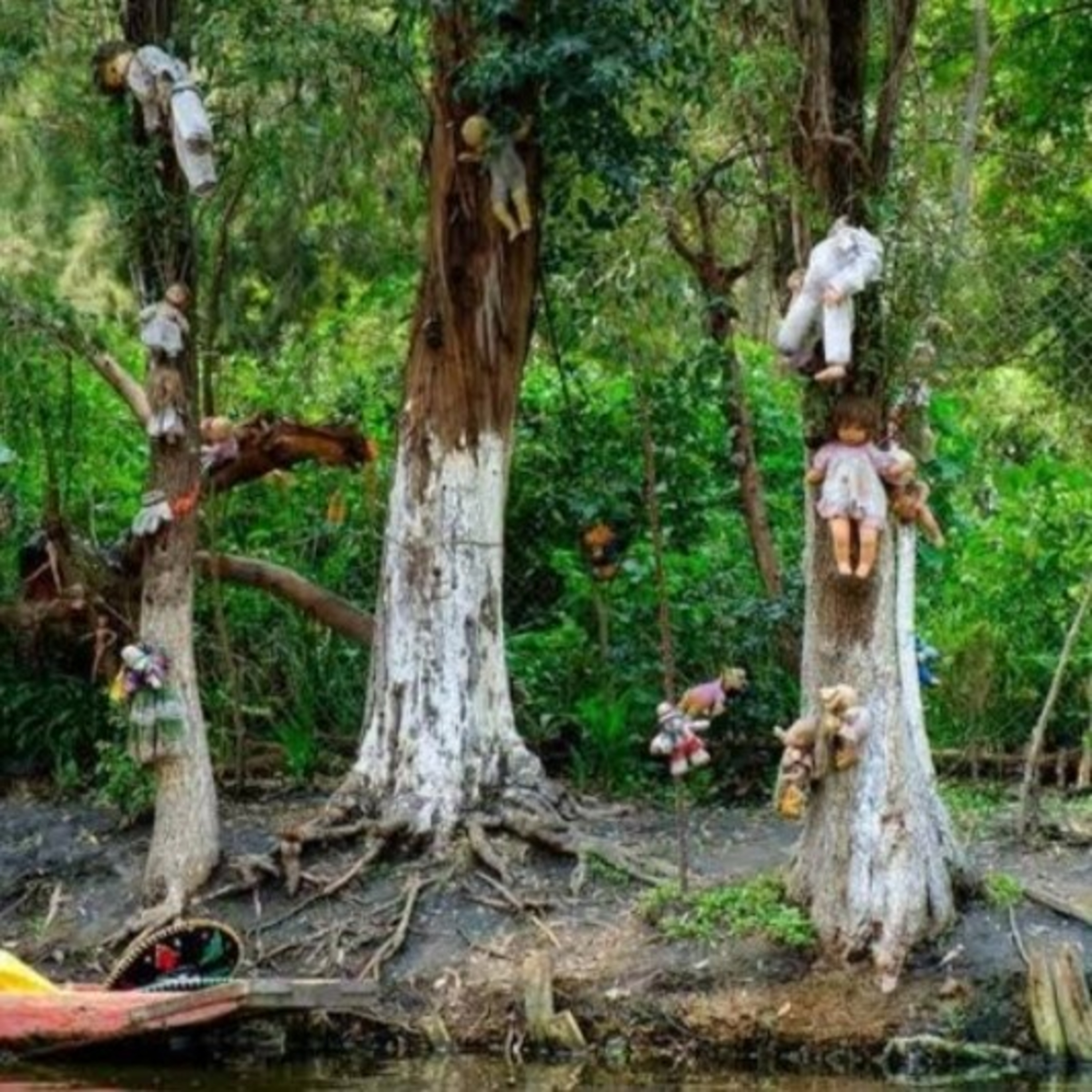 Facts about ‘Aokigahara - The Suicide Forest Of Japan’ [In Hindi] episode artwork