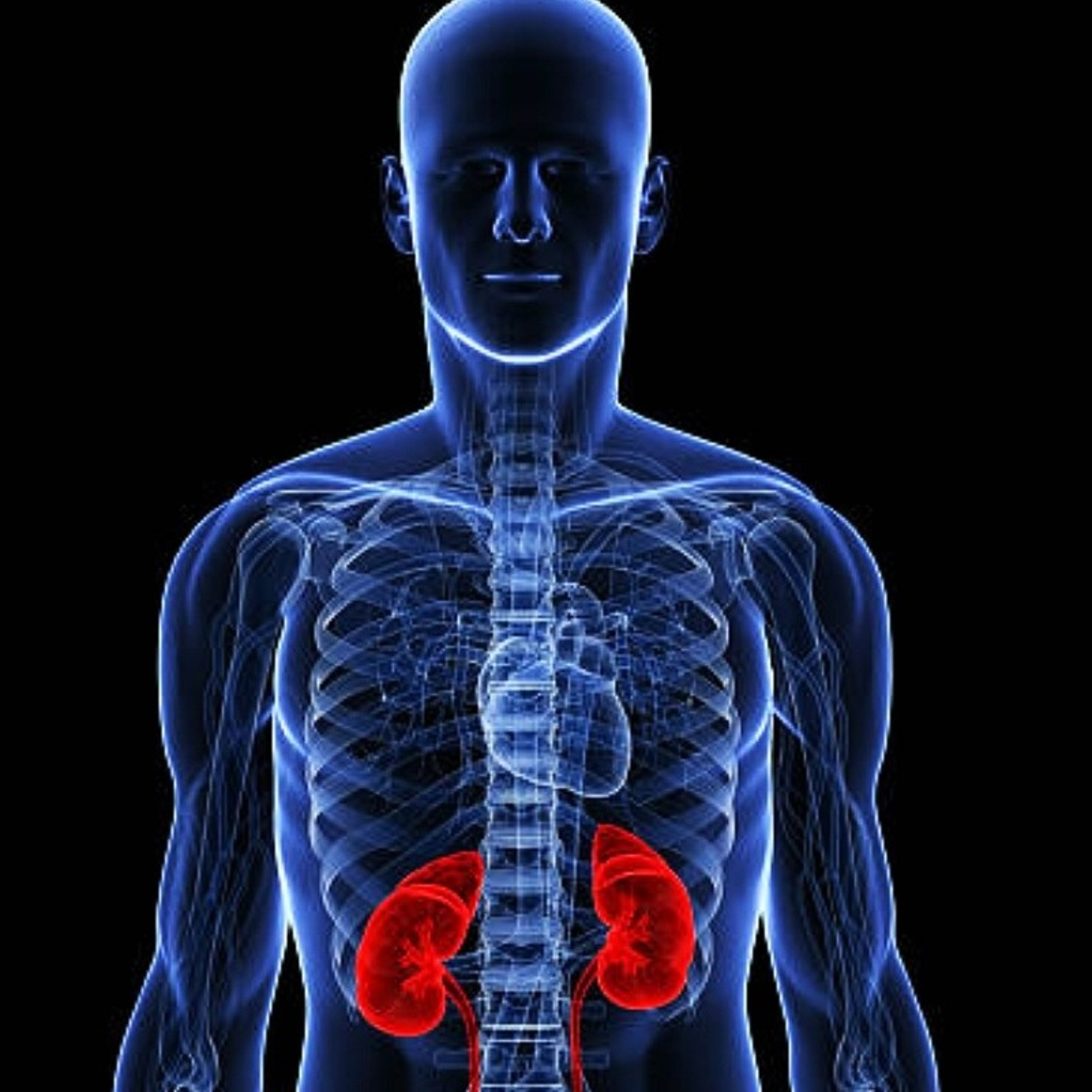 Interesting facts about ‘Kidney’ [In Hindi] episode artwork