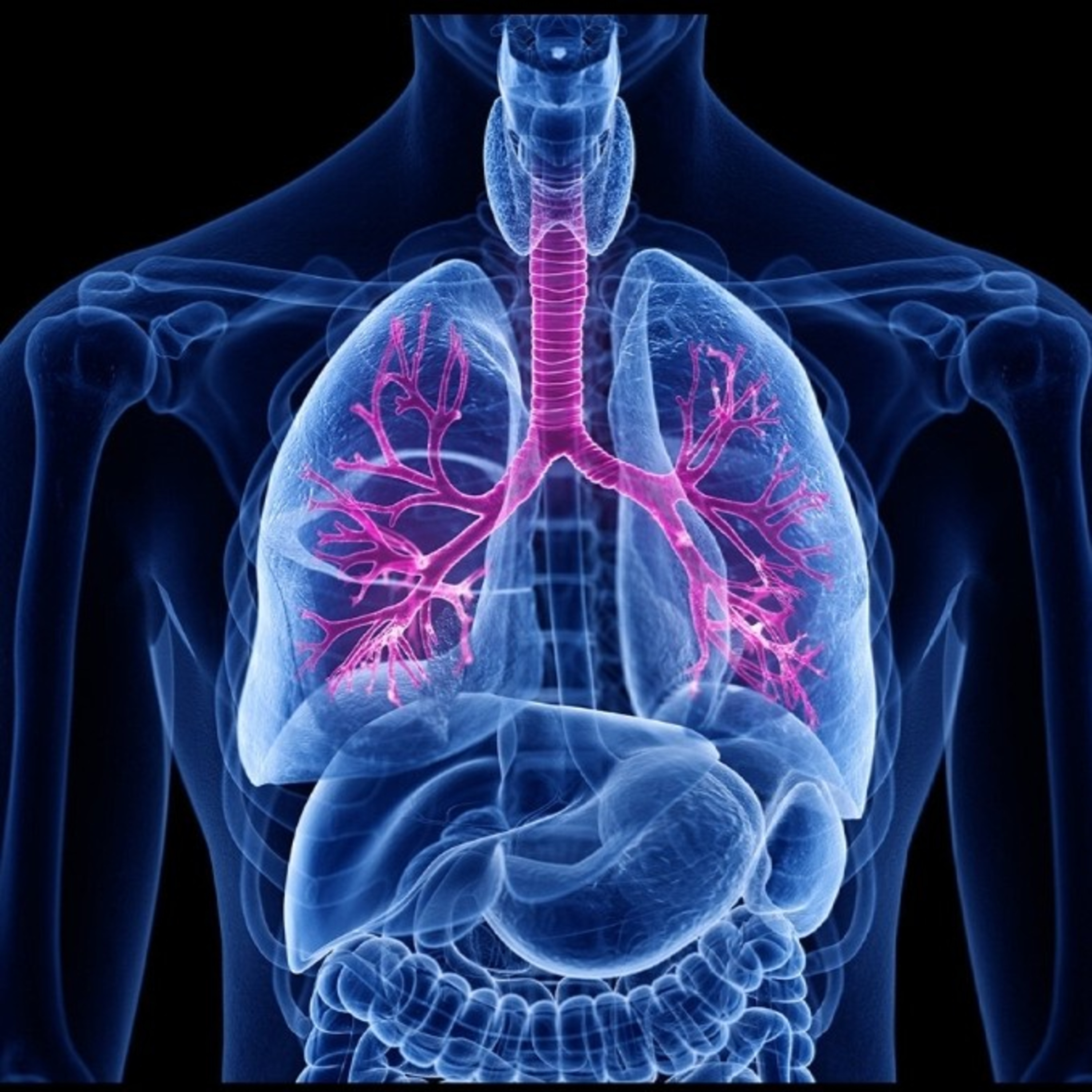 Unbelievable facts about ‘Human Lungs’  episode artwork