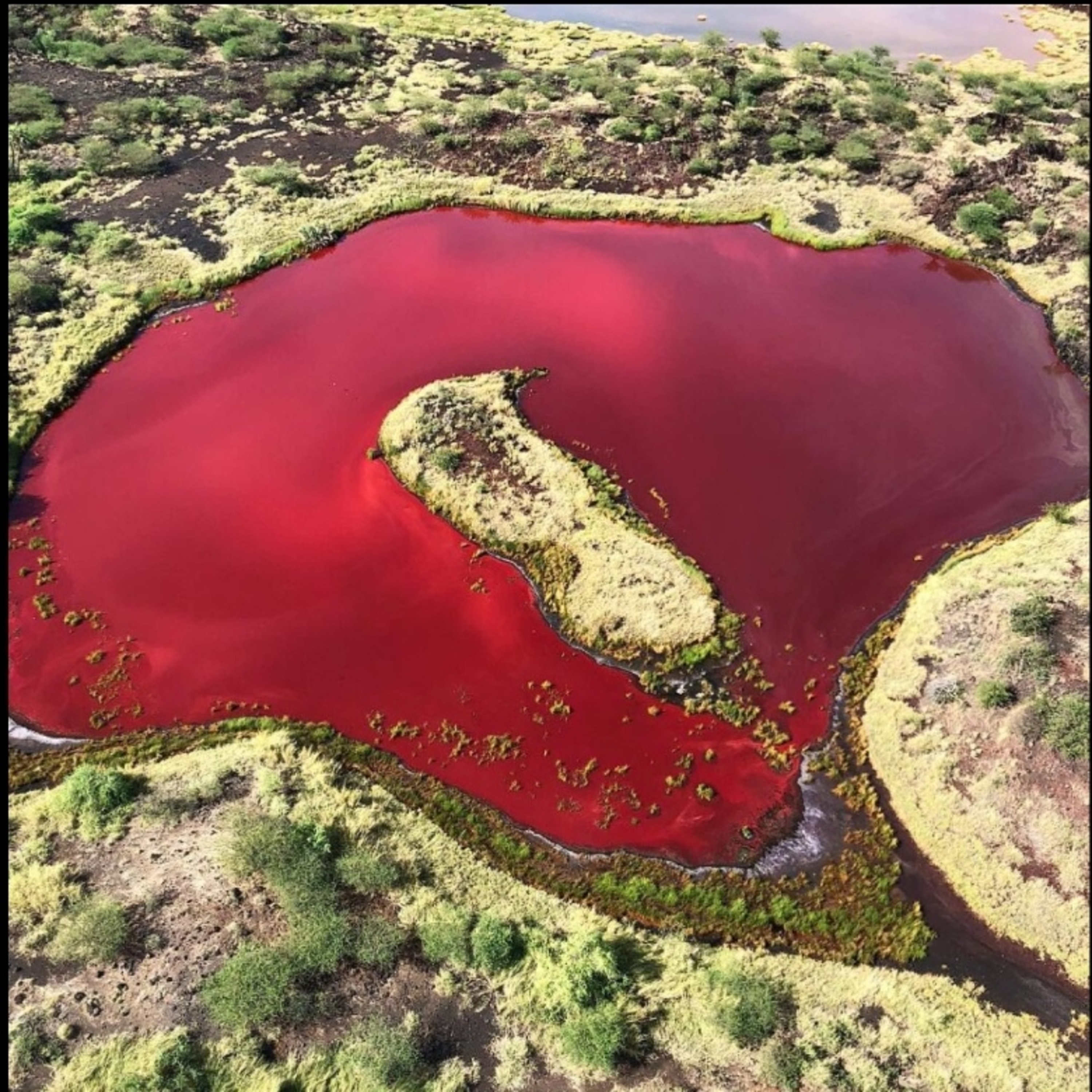 Mysterious facts about the Blood Red Lake in ‘Kapedo Turkana’ episode artwork