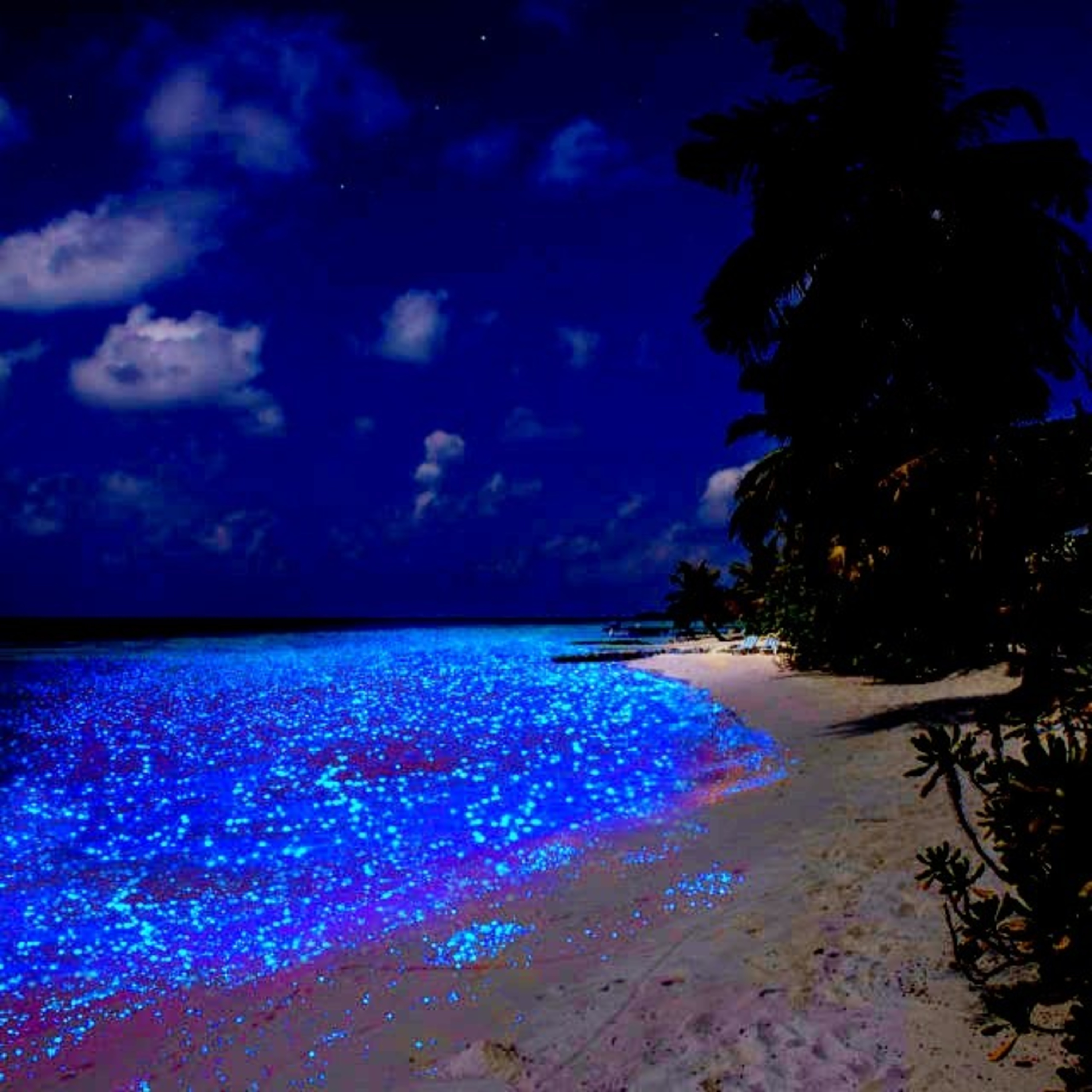 What is unique about “Vaadhoo Island?”  episode artwork