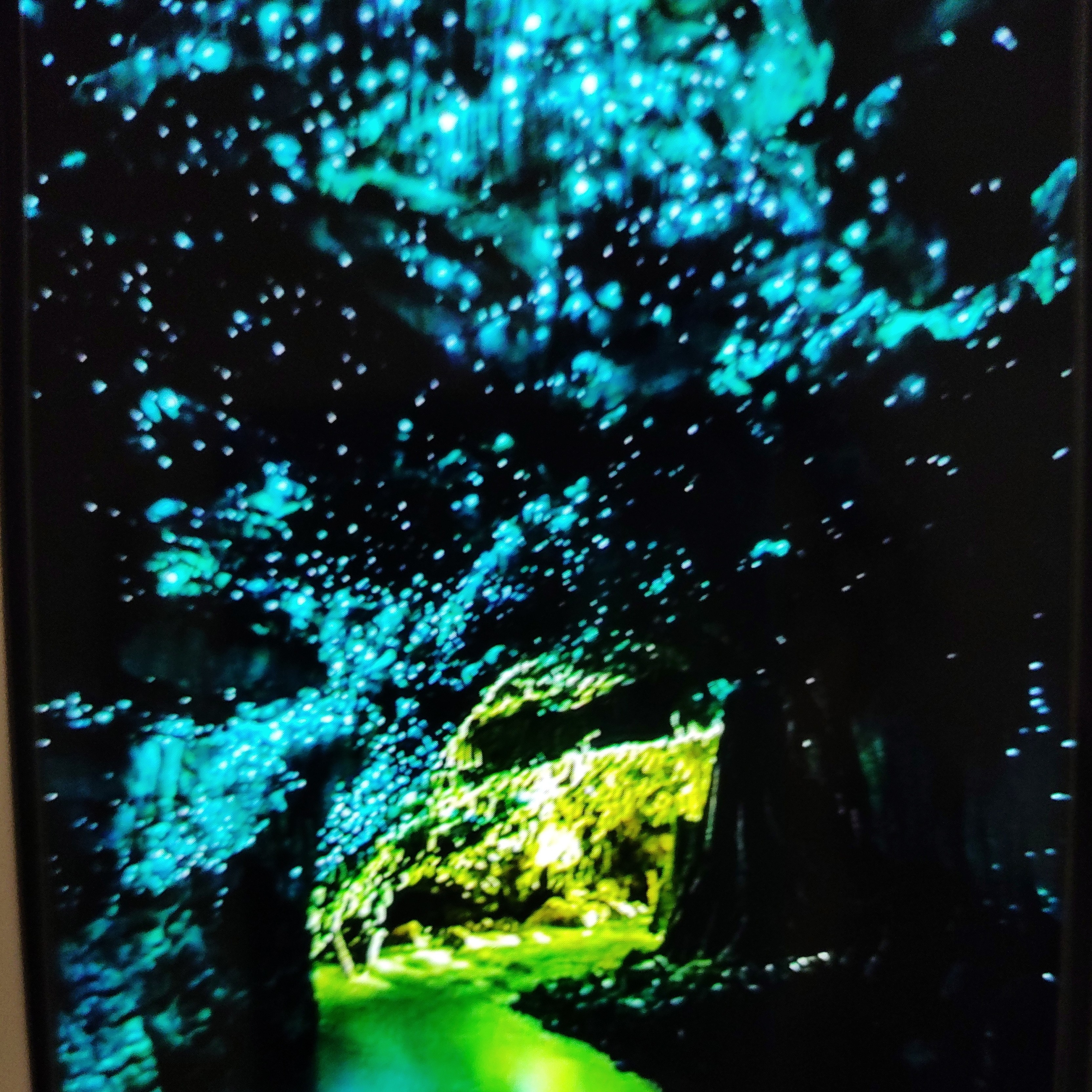 These are the most spectacular ‘Glowworm Caves’ in the world 🪲✨ episode artwork