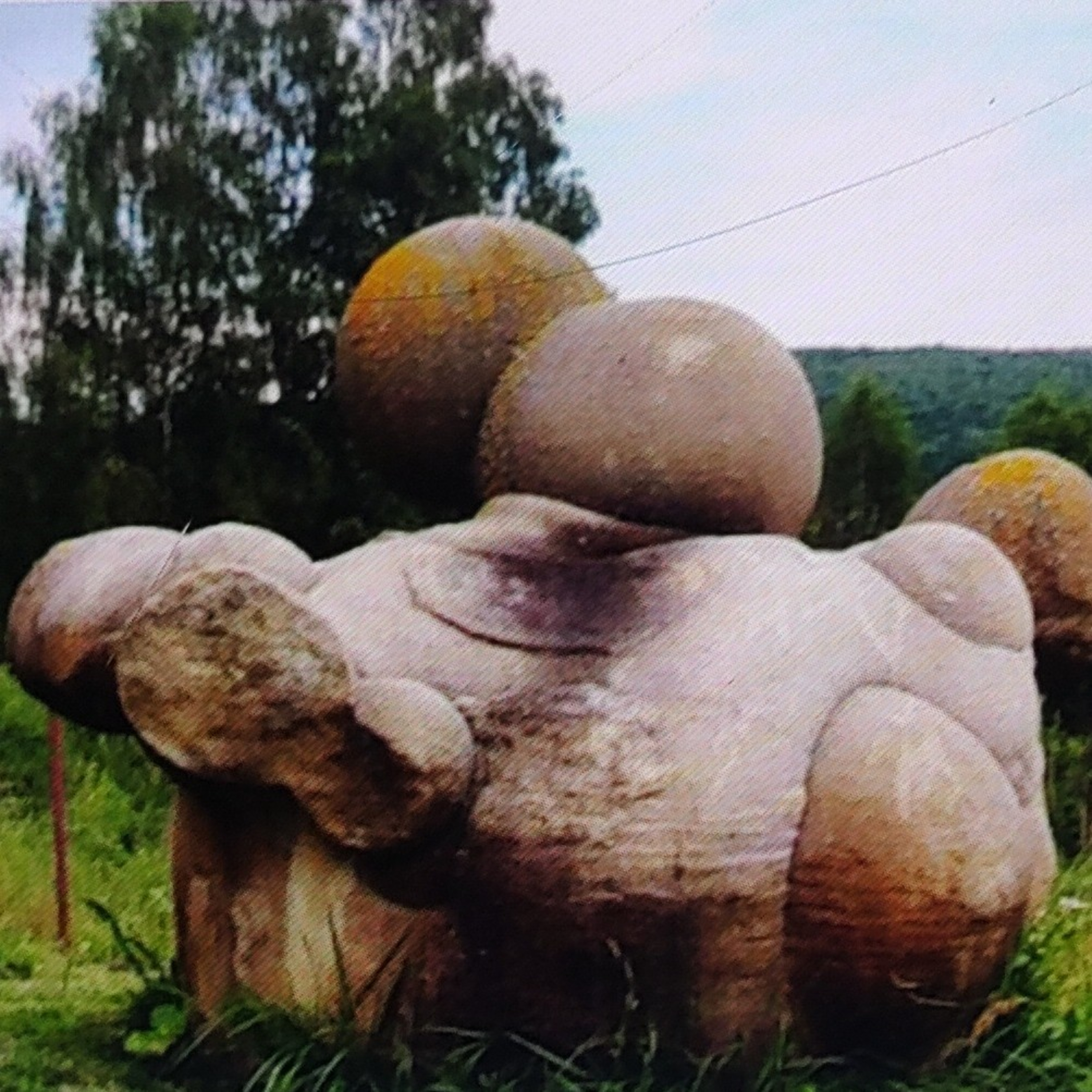 Trovants are stones that seem to Grow, Move and Reproduce  episode artwork