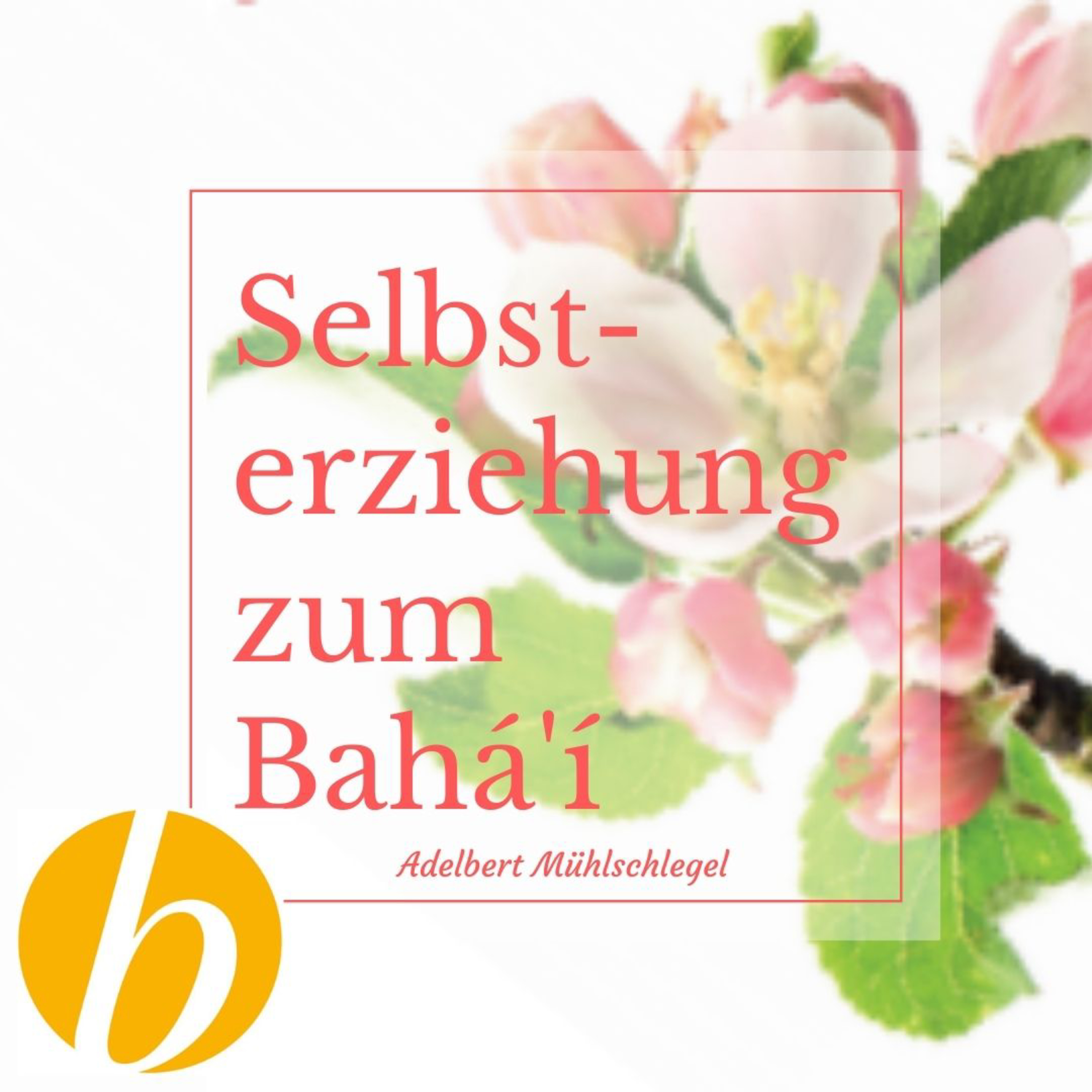 Selbsterziehung zum Bahá'í episode artwork