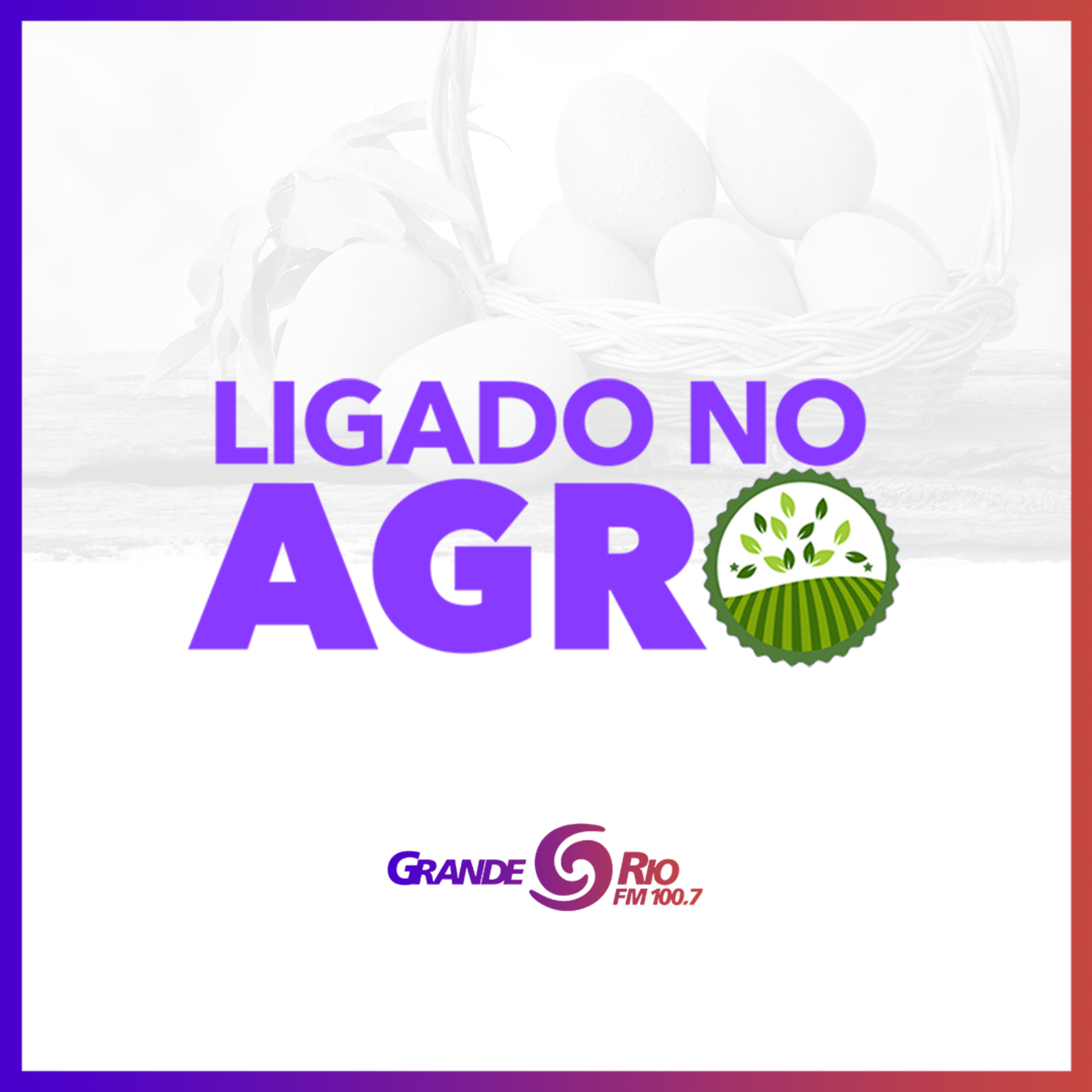 Grande Rio FM 100,7