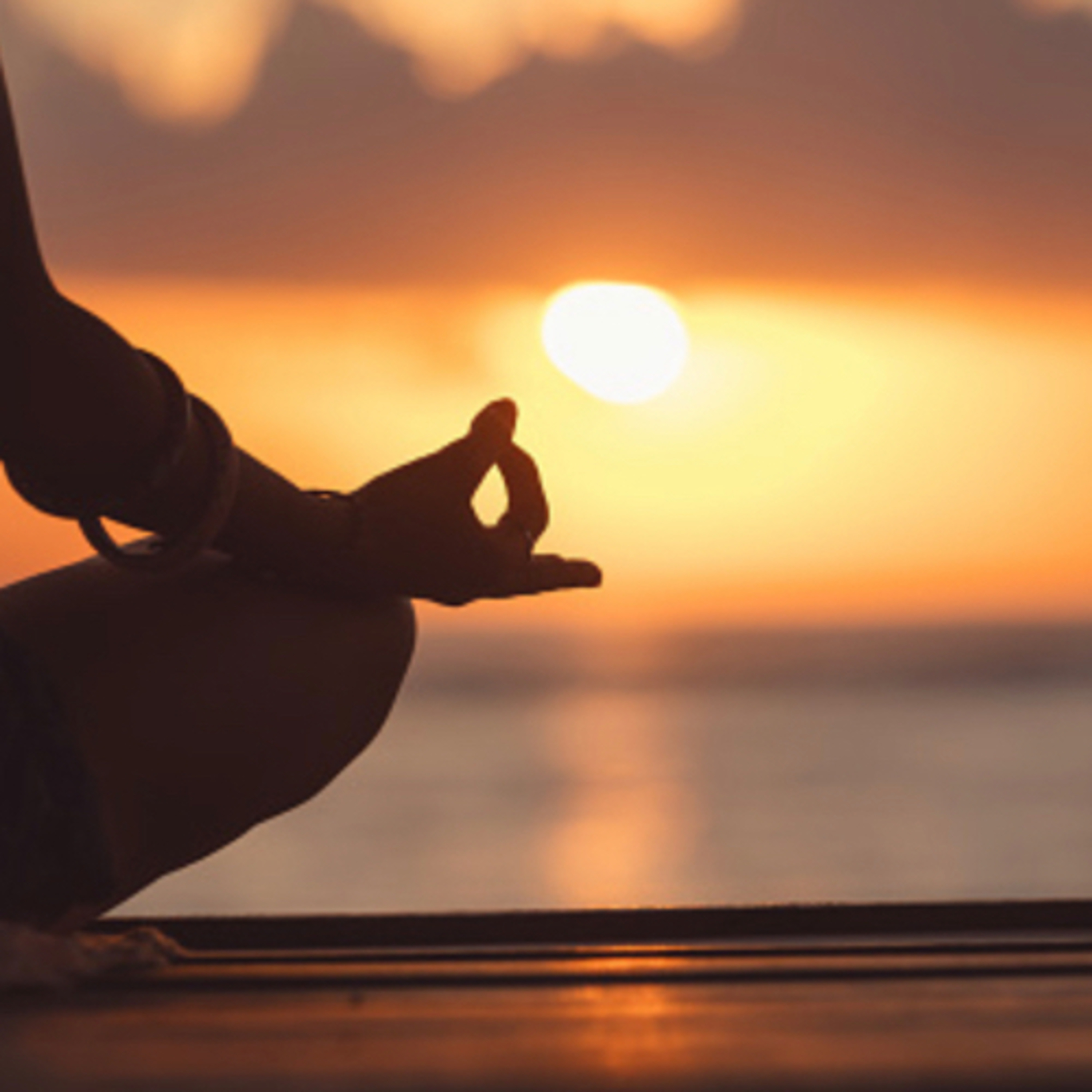 Psicologia y Mindfulness para Todos psicóloga Beatríz Pereira