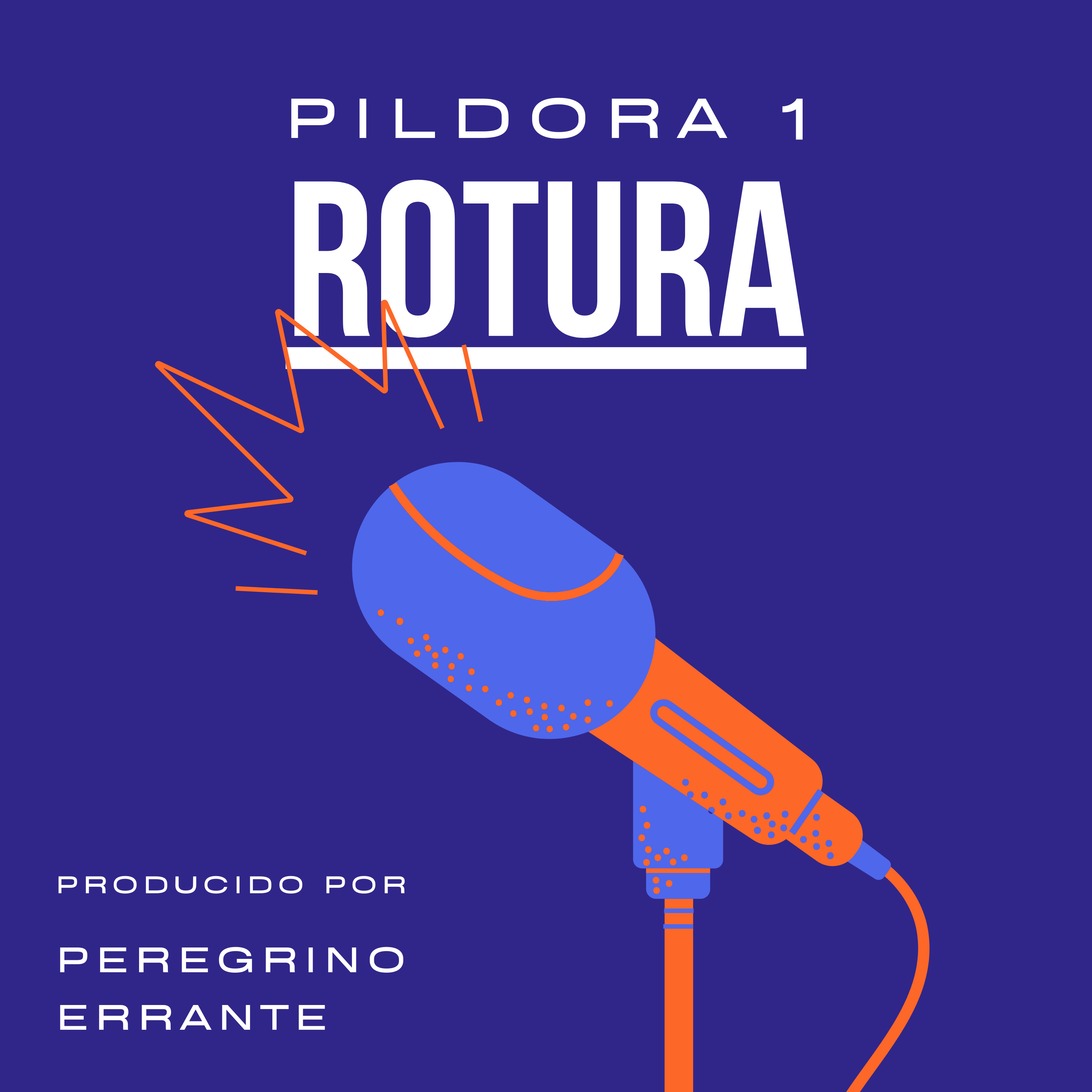 Peregrino Errante