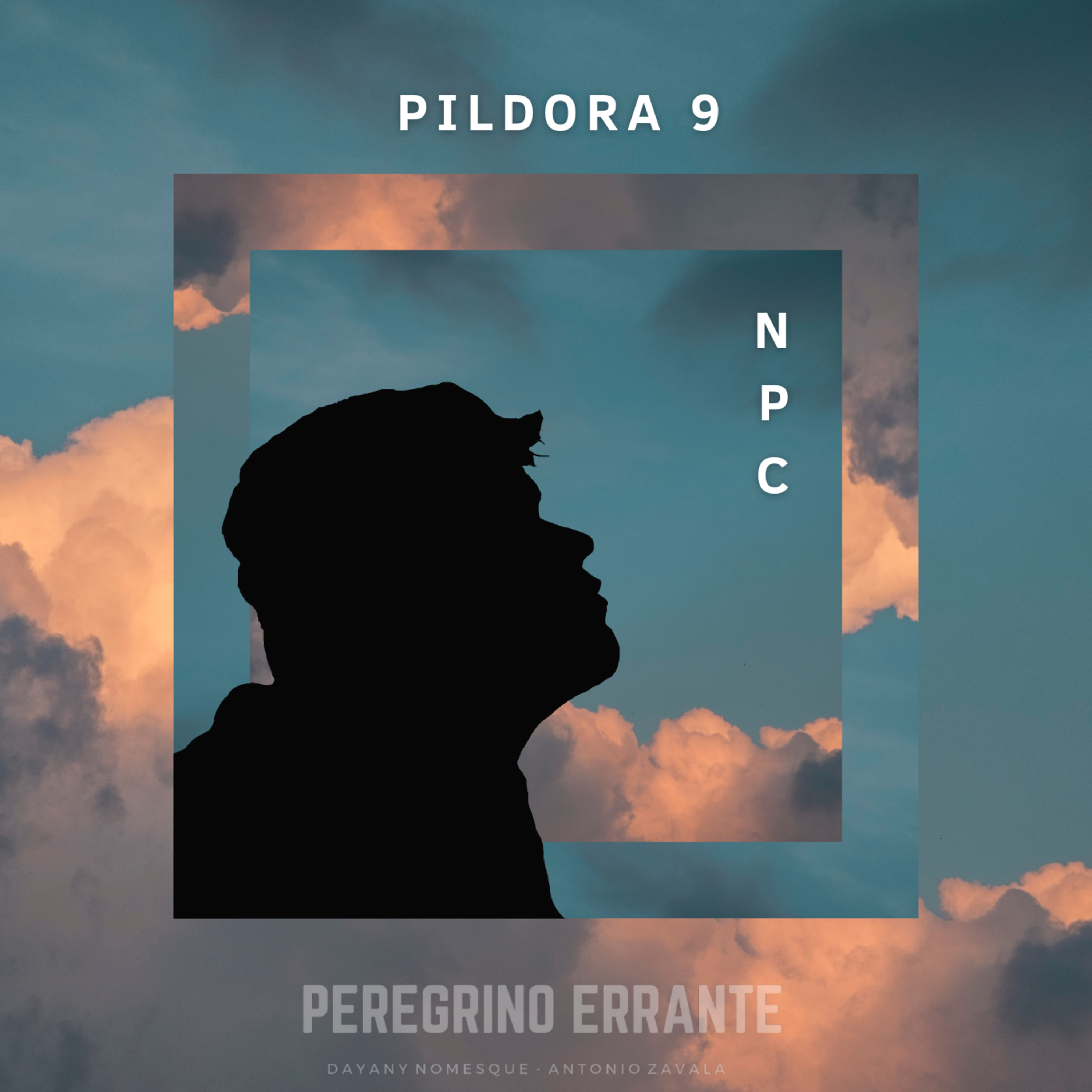 Peregrino Errante