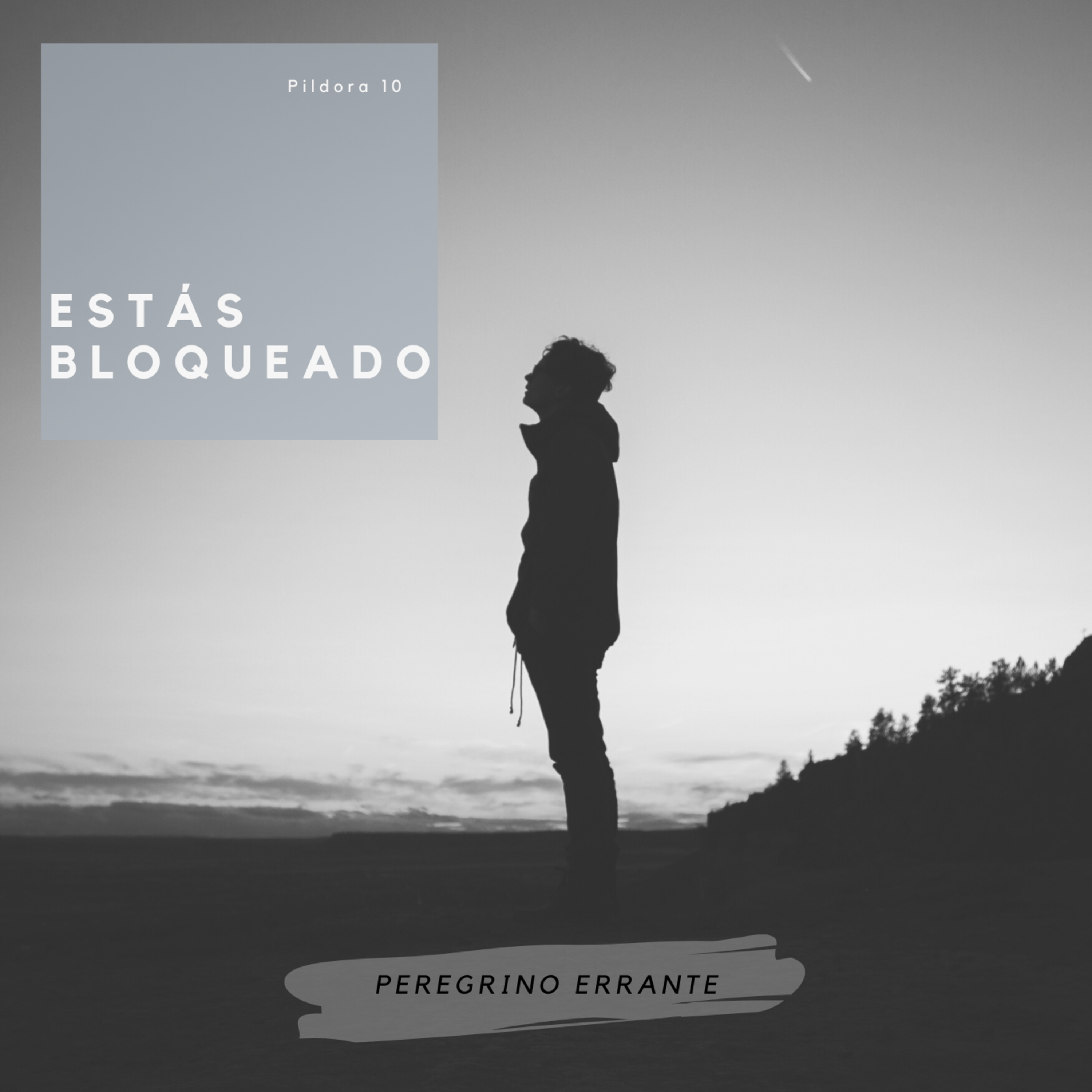 Peregrino Errante