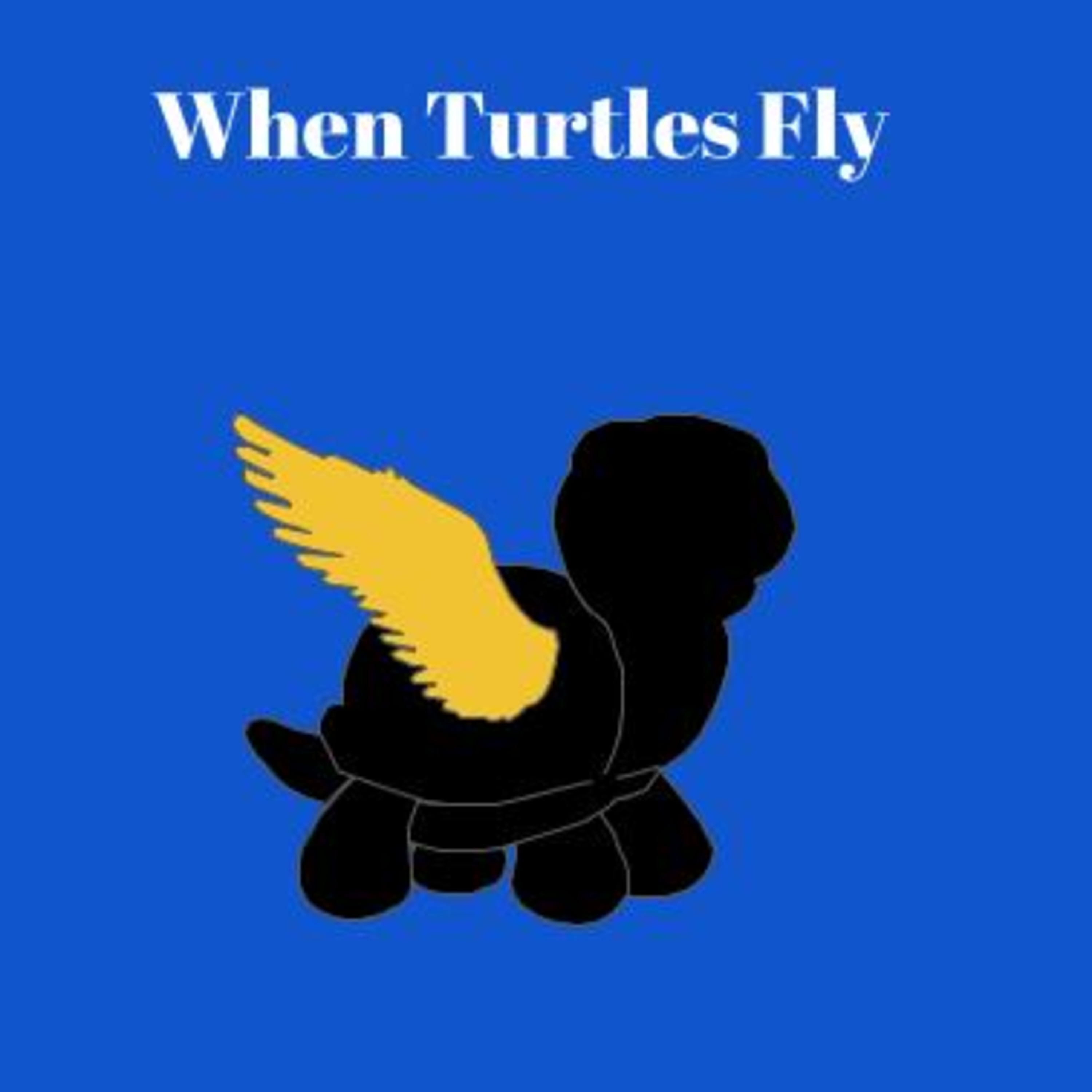 When Turtles Fly Episode 3: An Analytical View of the Story of mbeku 