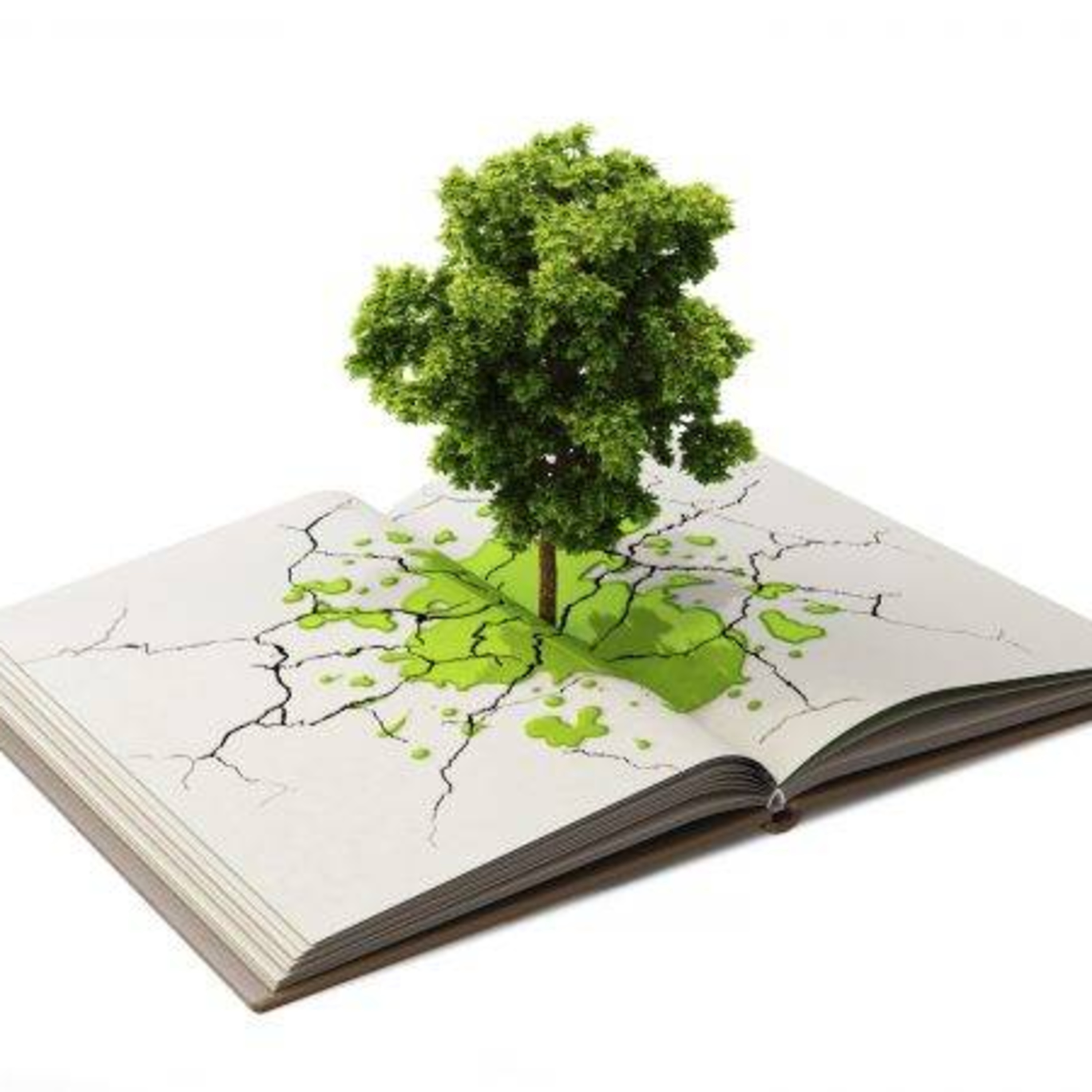Educação ambiental como componente essencial e permanente da educação nacional