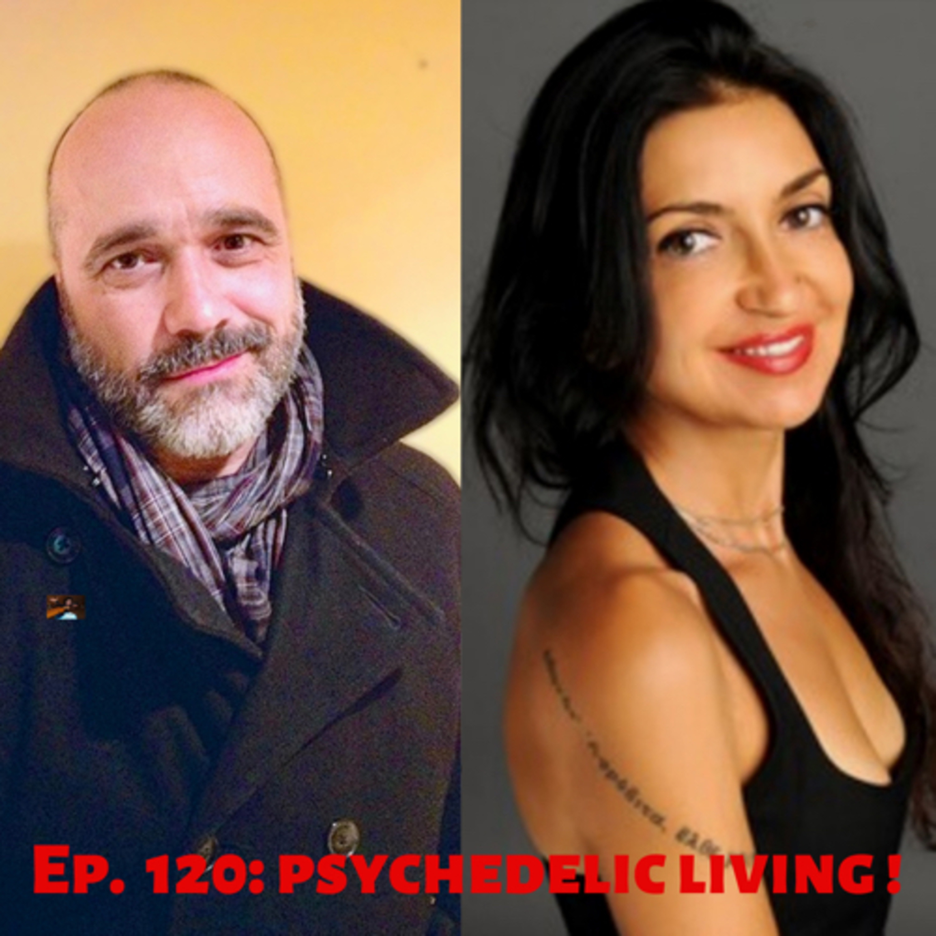 120: A Psychedelic Life. Poppy to Iboga to Cardea. Harm Reductionist Dimitri Mugianis w Eurydice Eve episode artwork
