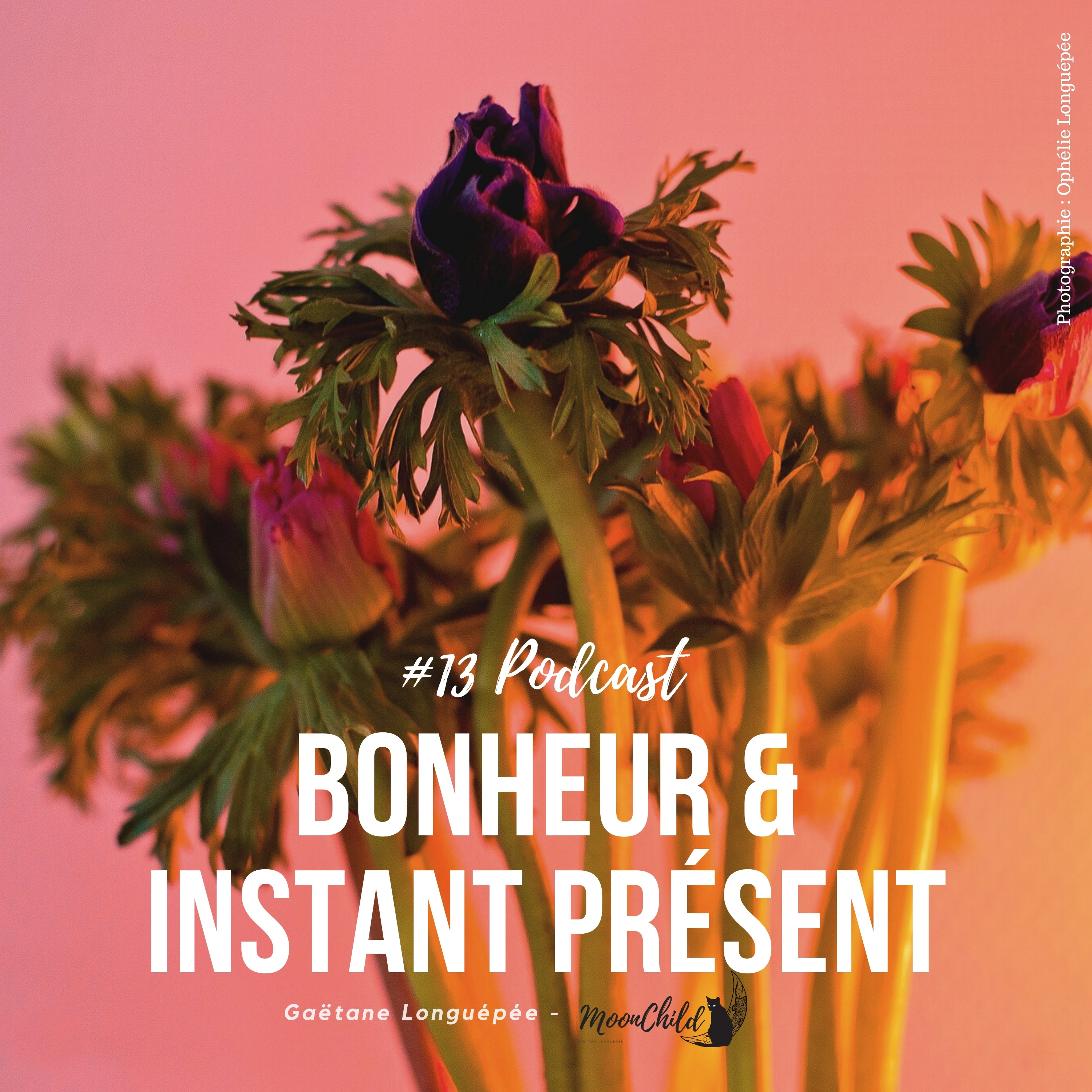 Connexion à SOI - Par MoonChild Holistique