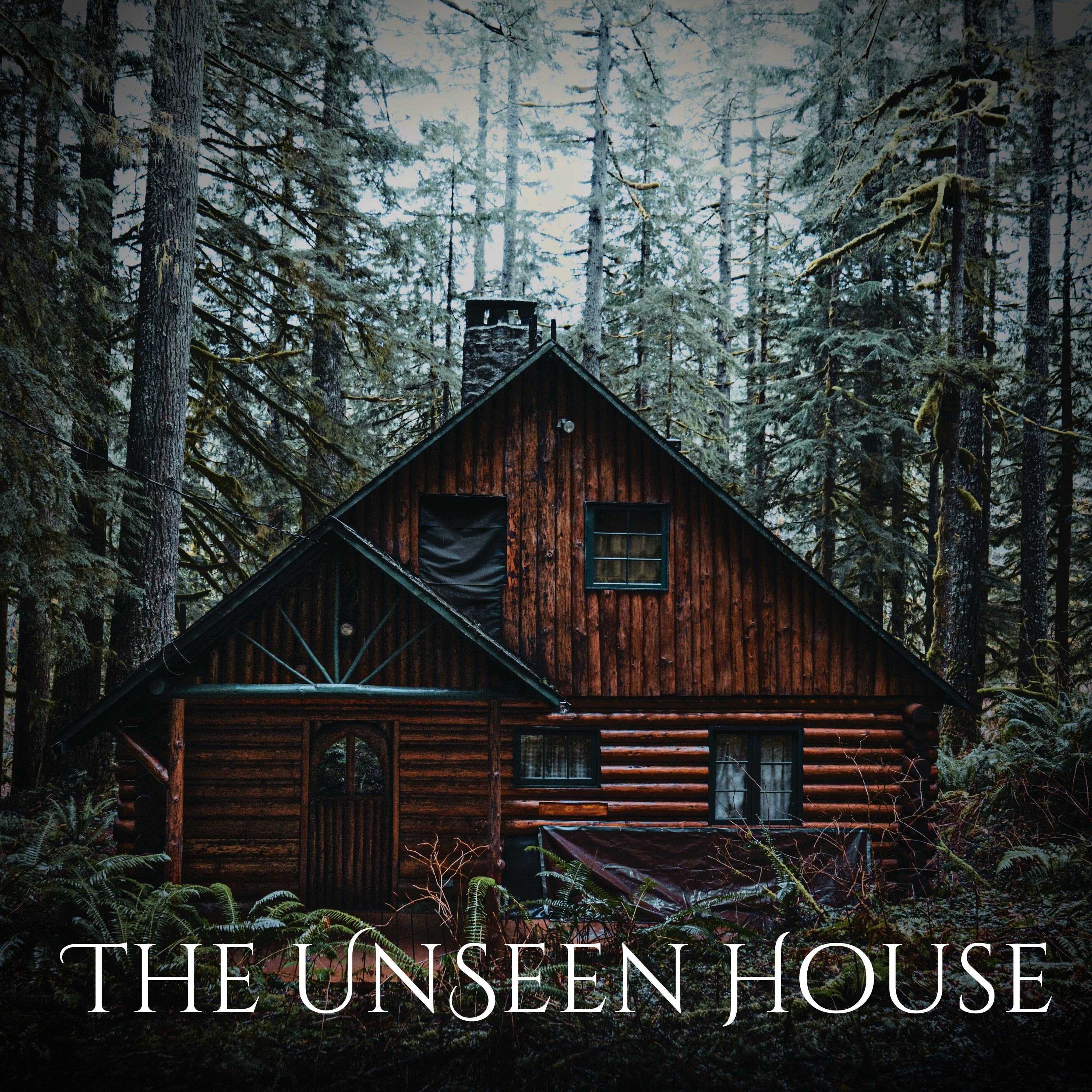 The Unseen House ( A short Fiction Story) episode artwork