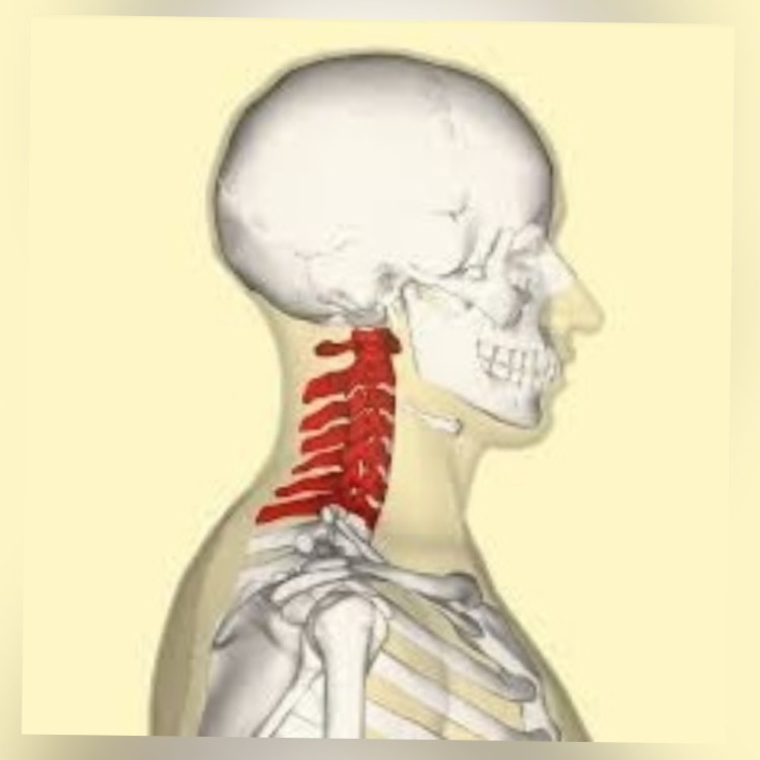 Episodio 4: Biomecánica cervical 
