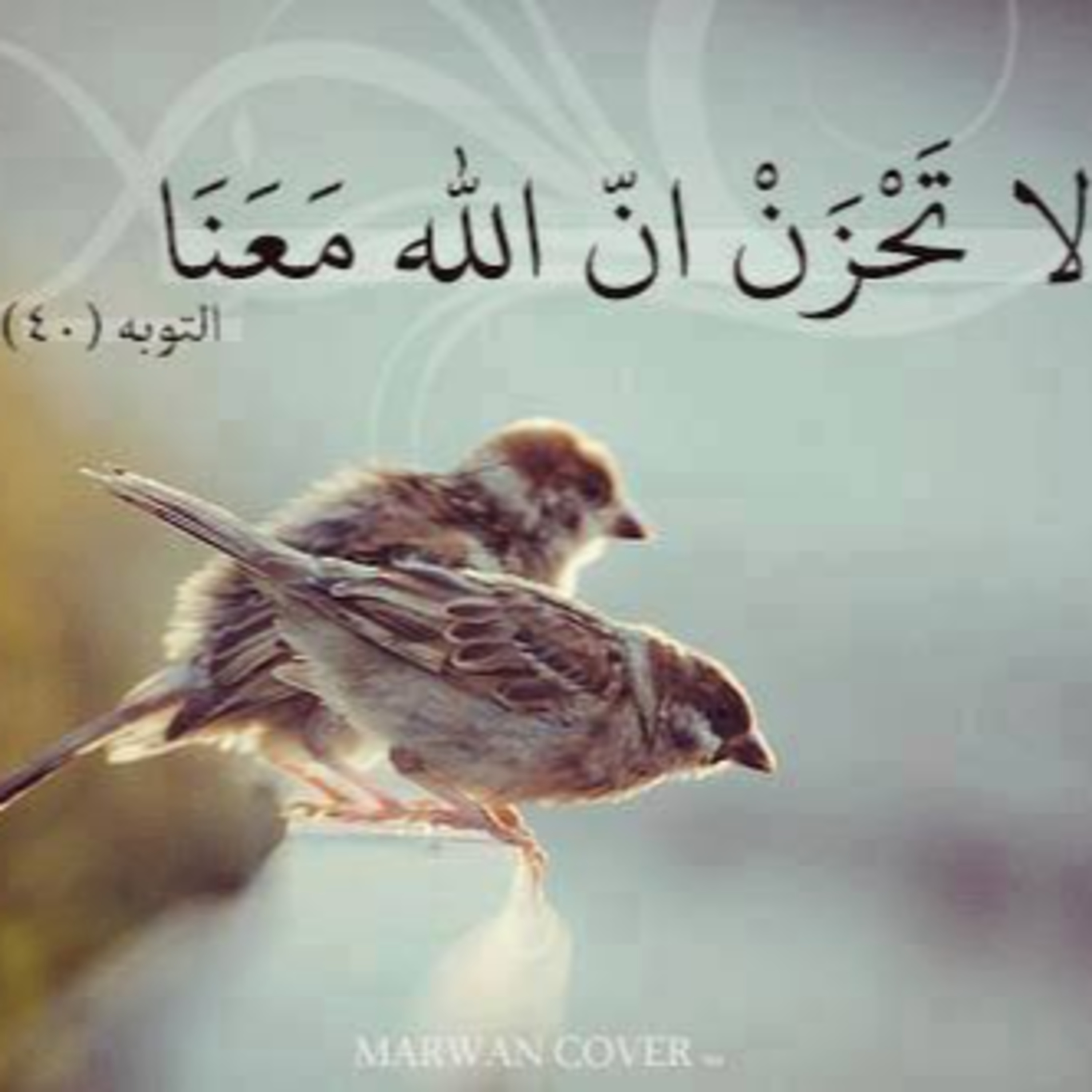 listen-dz