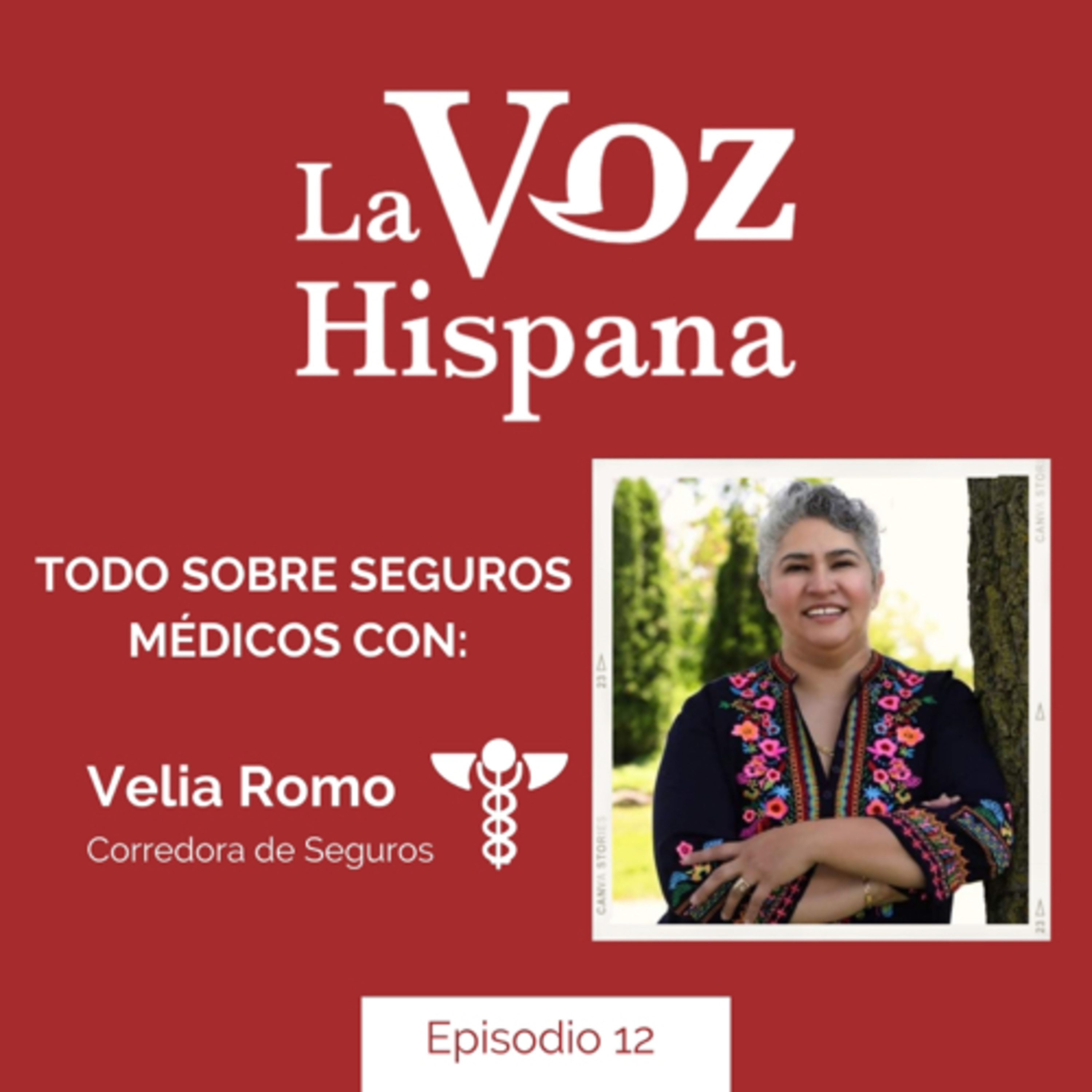Seguros médicos para visitantes, inmigrantes y estudiantes internacionales, y las noticias semanales episode artwork