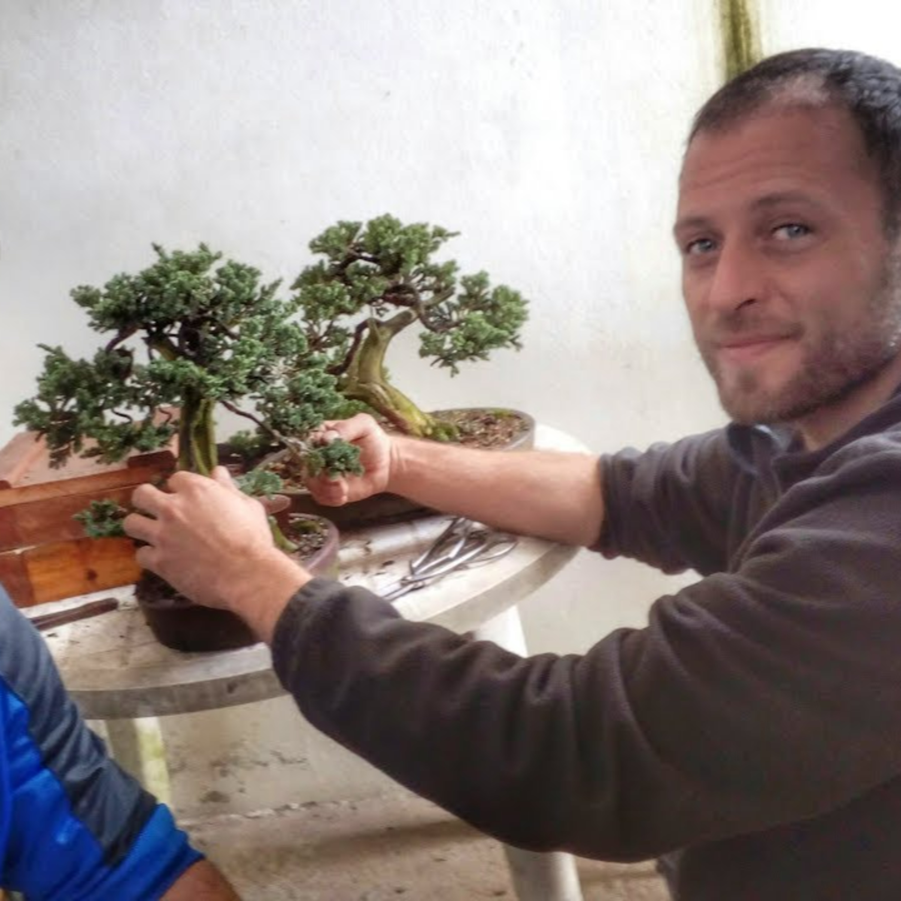 AS HISTÓRIAS DO BONSAI NO BRASIL, JAPÃO E NO MUNDO - LIVE COM FELIPE DALLORTO episode artwork