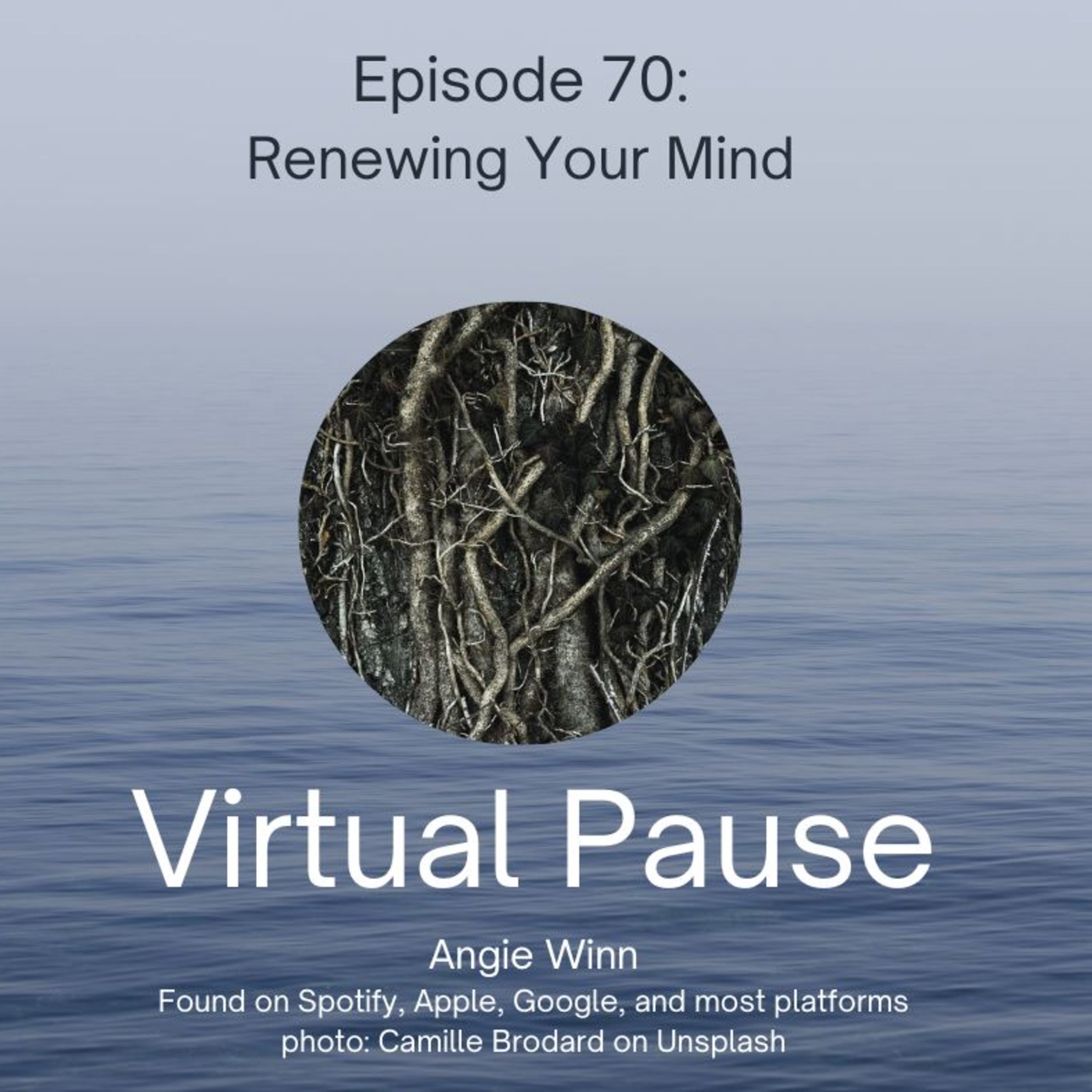Virtual Pause