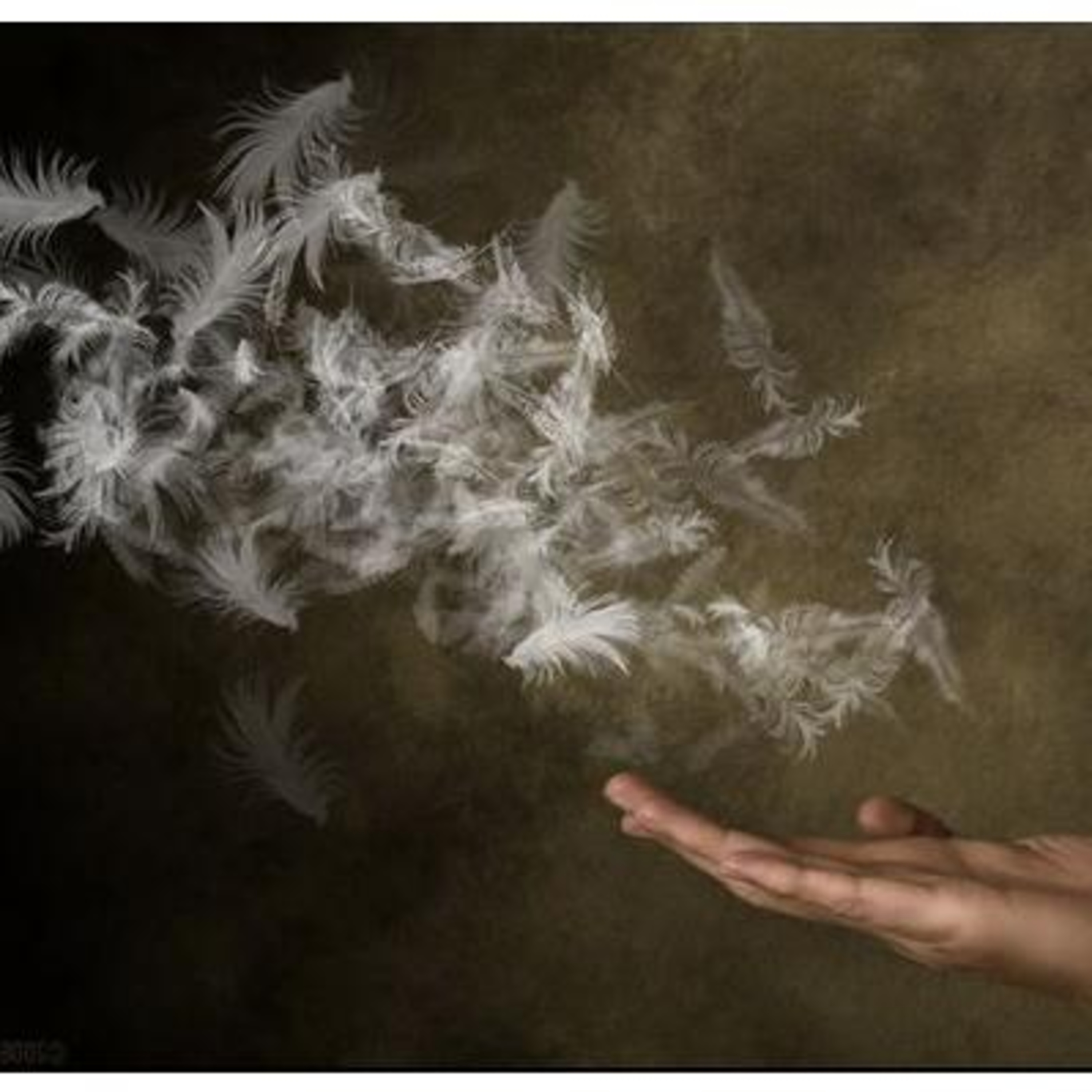 EL SACO DE PLUMAS EL SACO DE PLUMAS