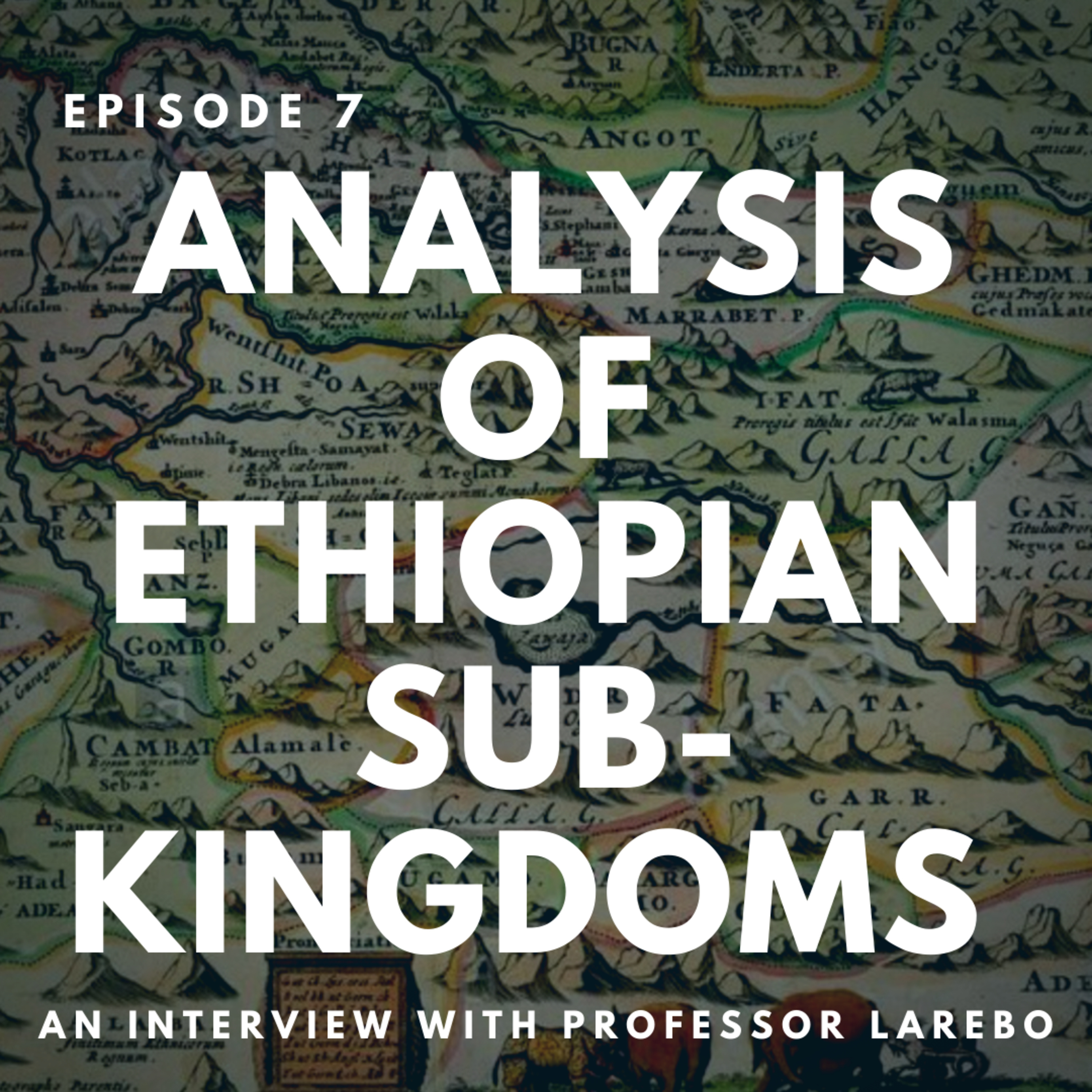 EPISODE 7 - Analysis on the Subkingdoms of Ethiopia : An interview with Dr. Larebo