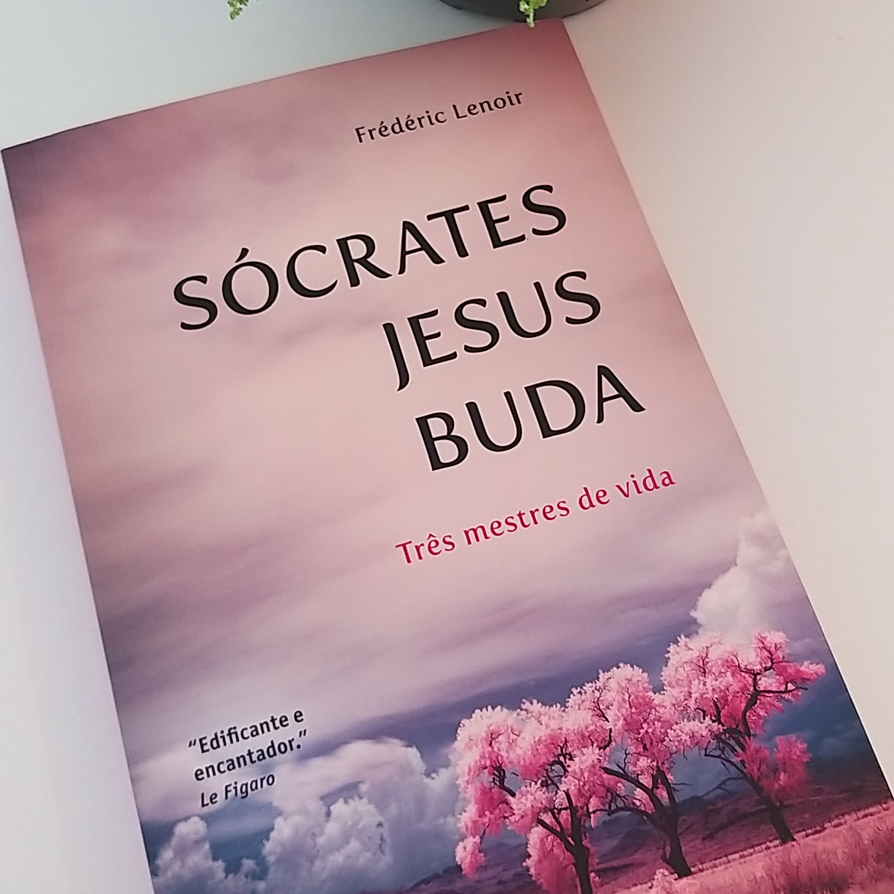 Leitura de Livros Extraordinários