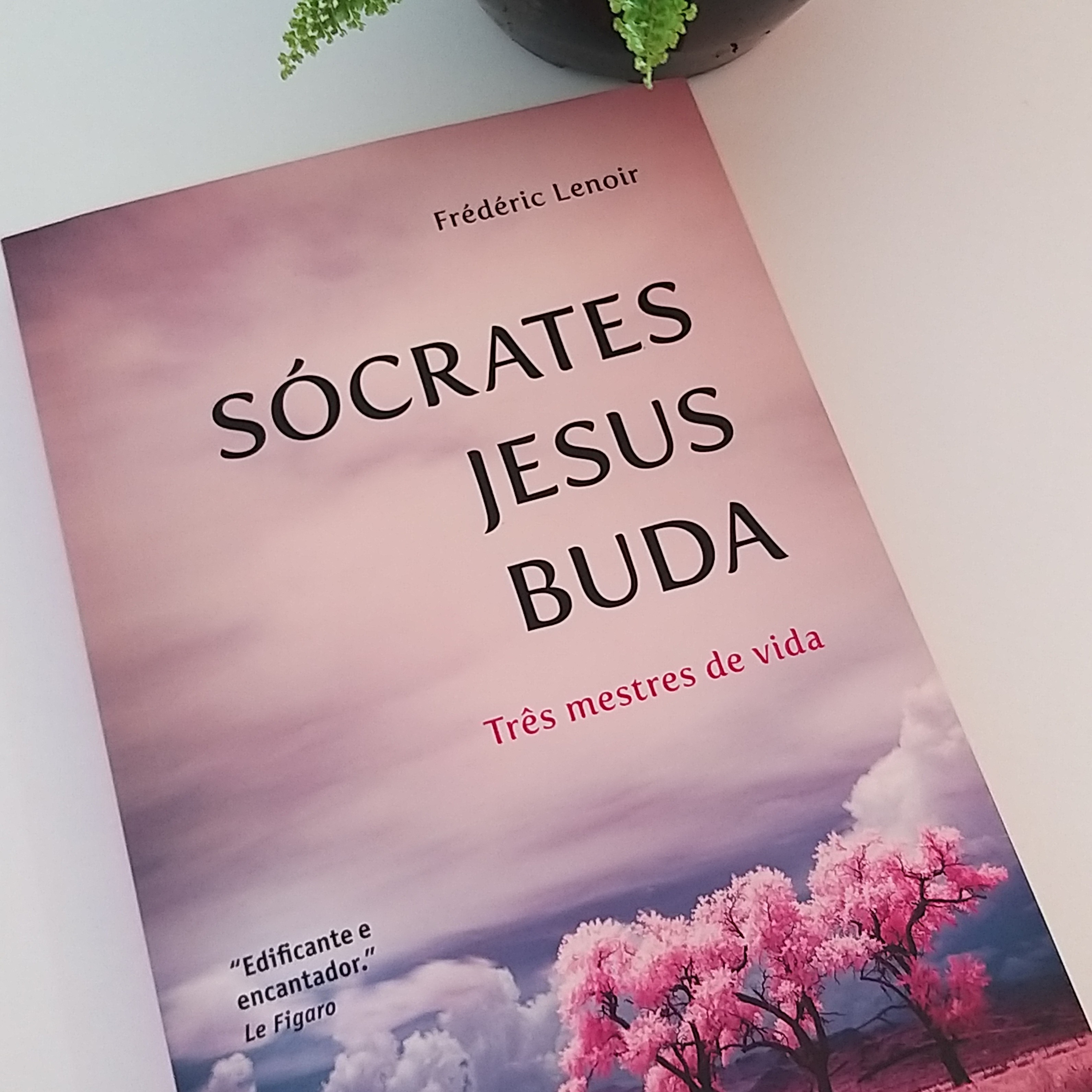 Leitura de Livros Extraordinários