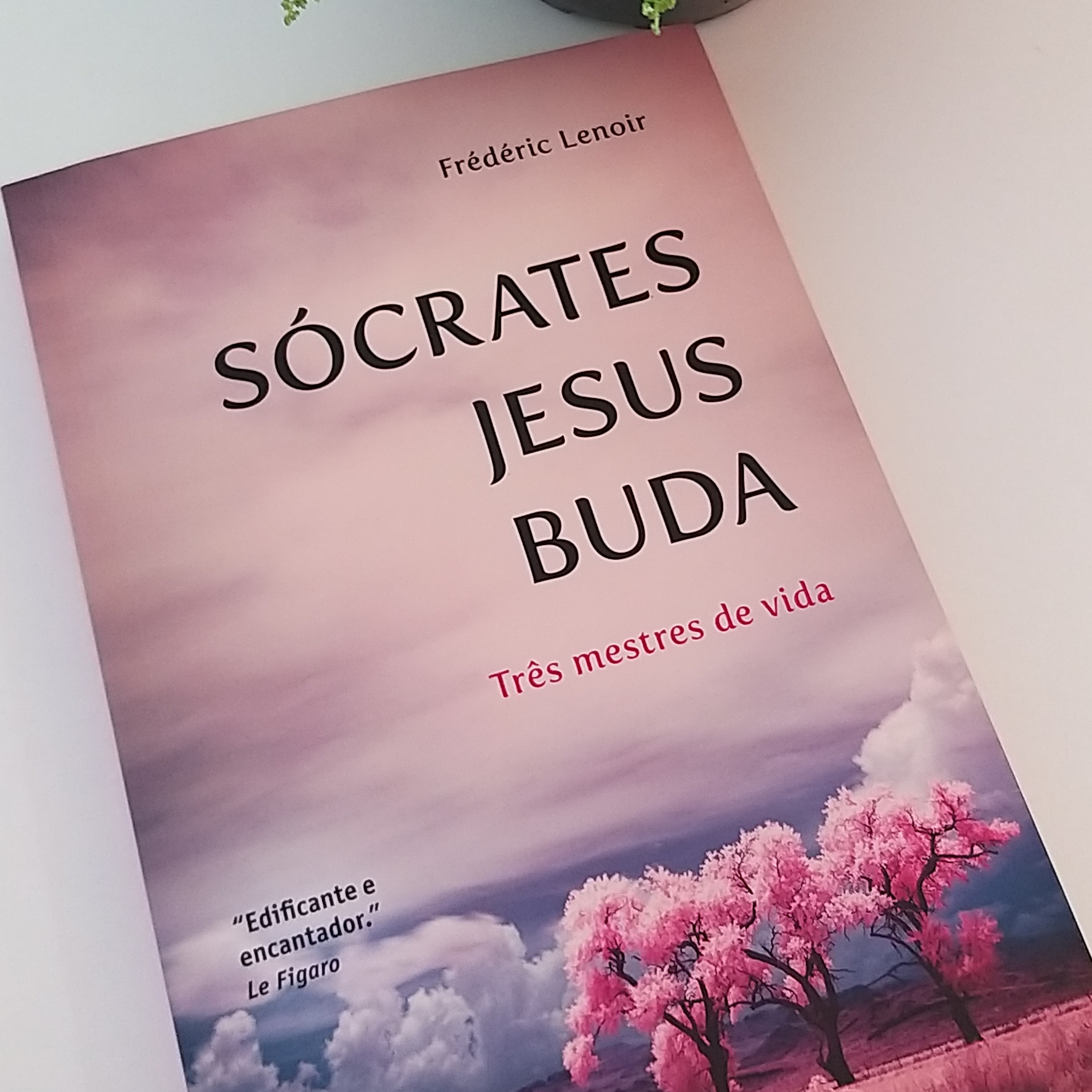 Leitura de Livros Extraordinários