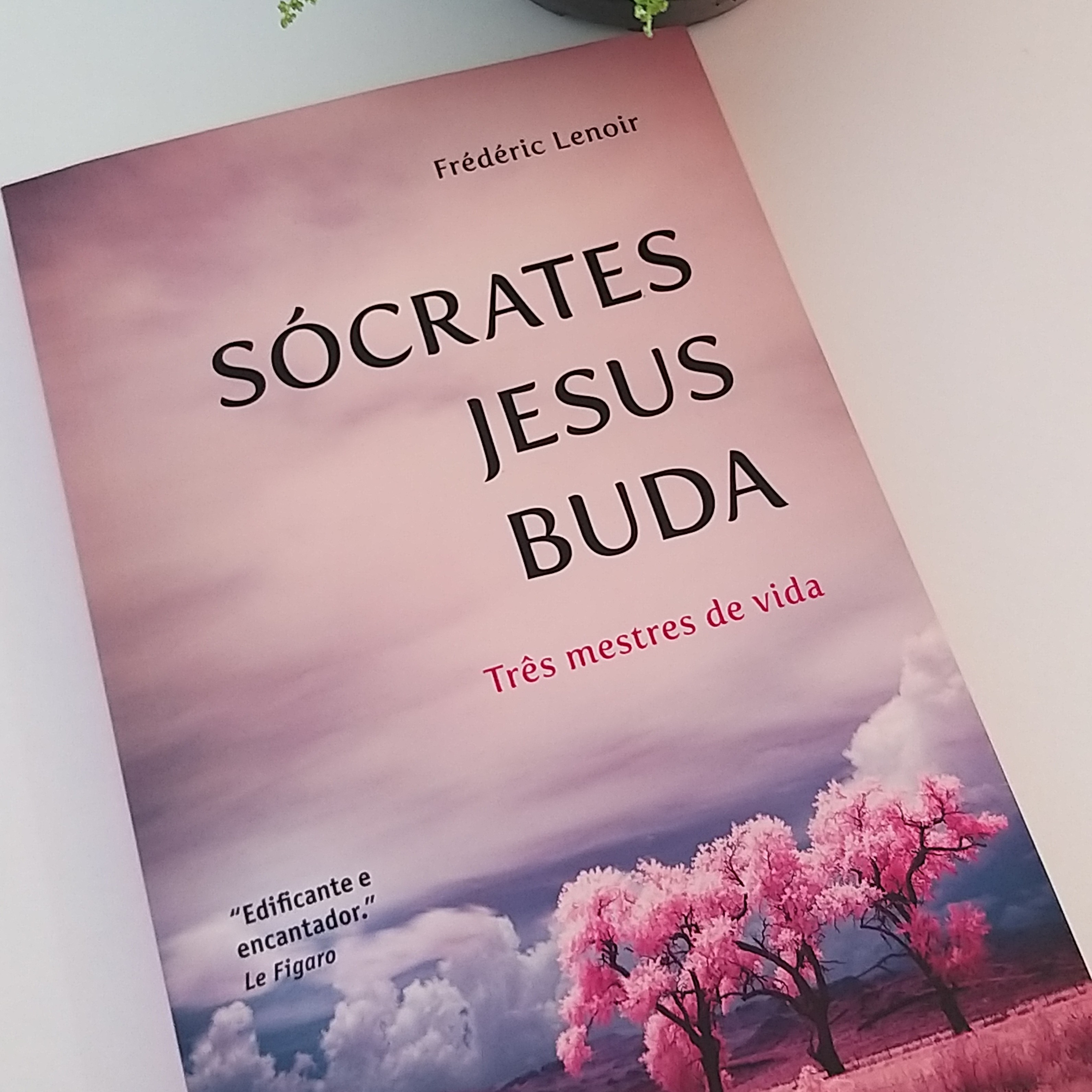 Leitura de Livros Extraordinários