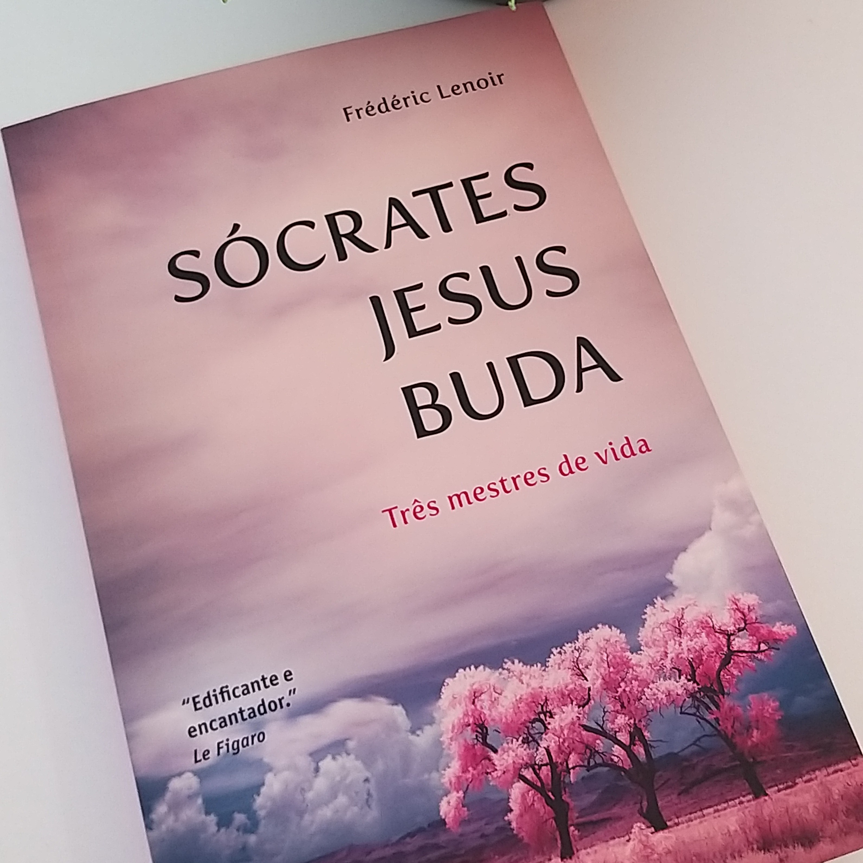 Leitura de Livros Extraordinários