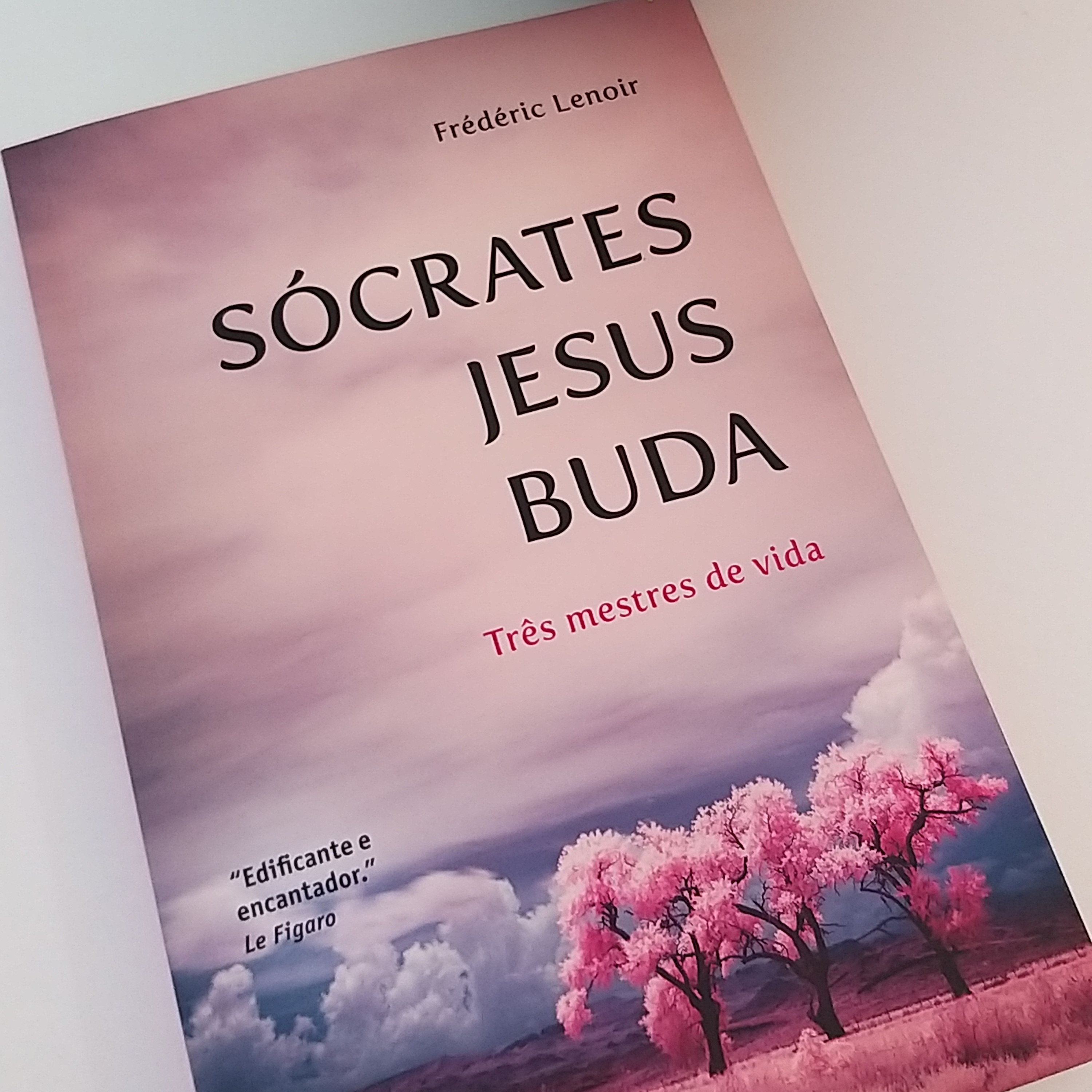 Leitura de Livros Extraordinários