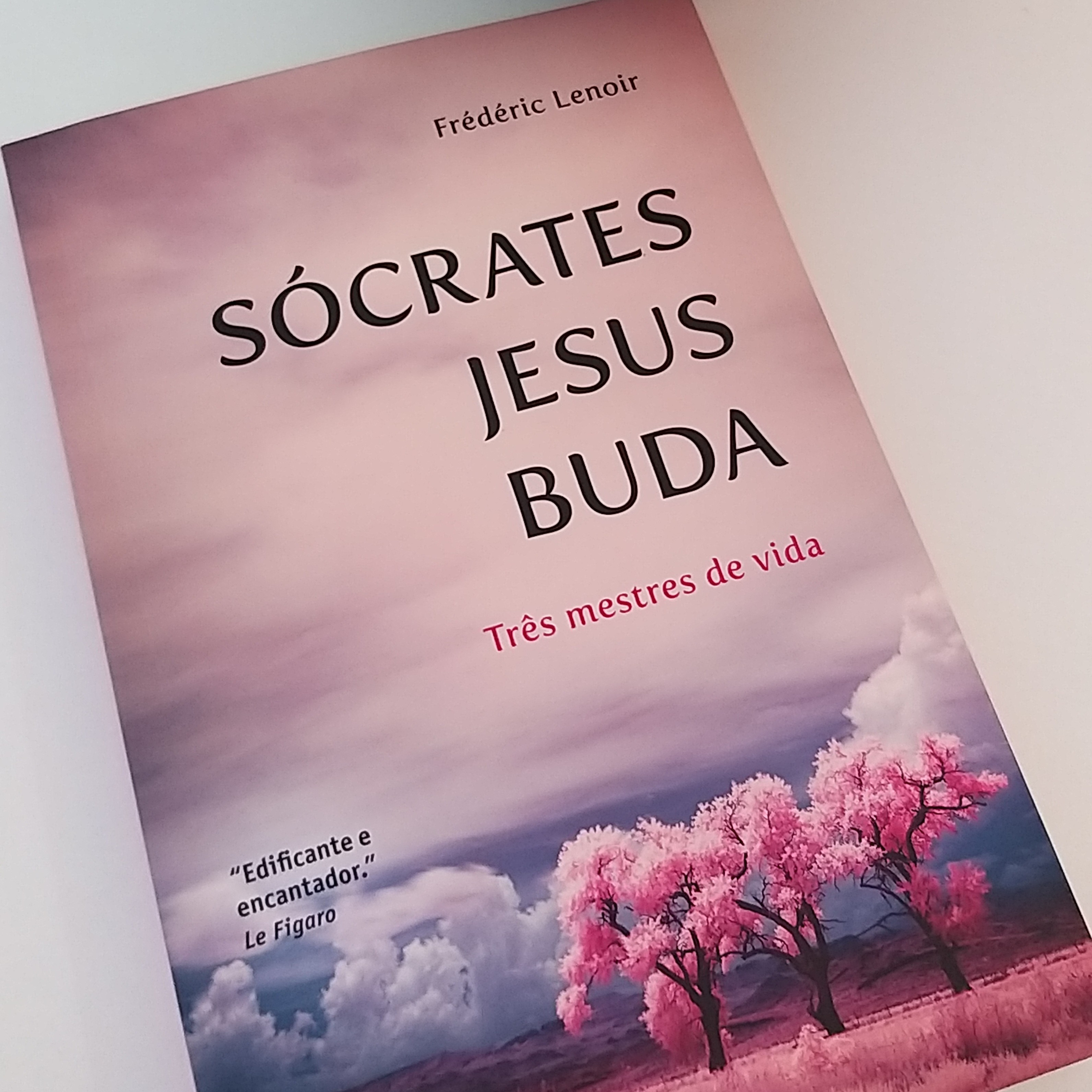 Leitura de Livros Extraordinários