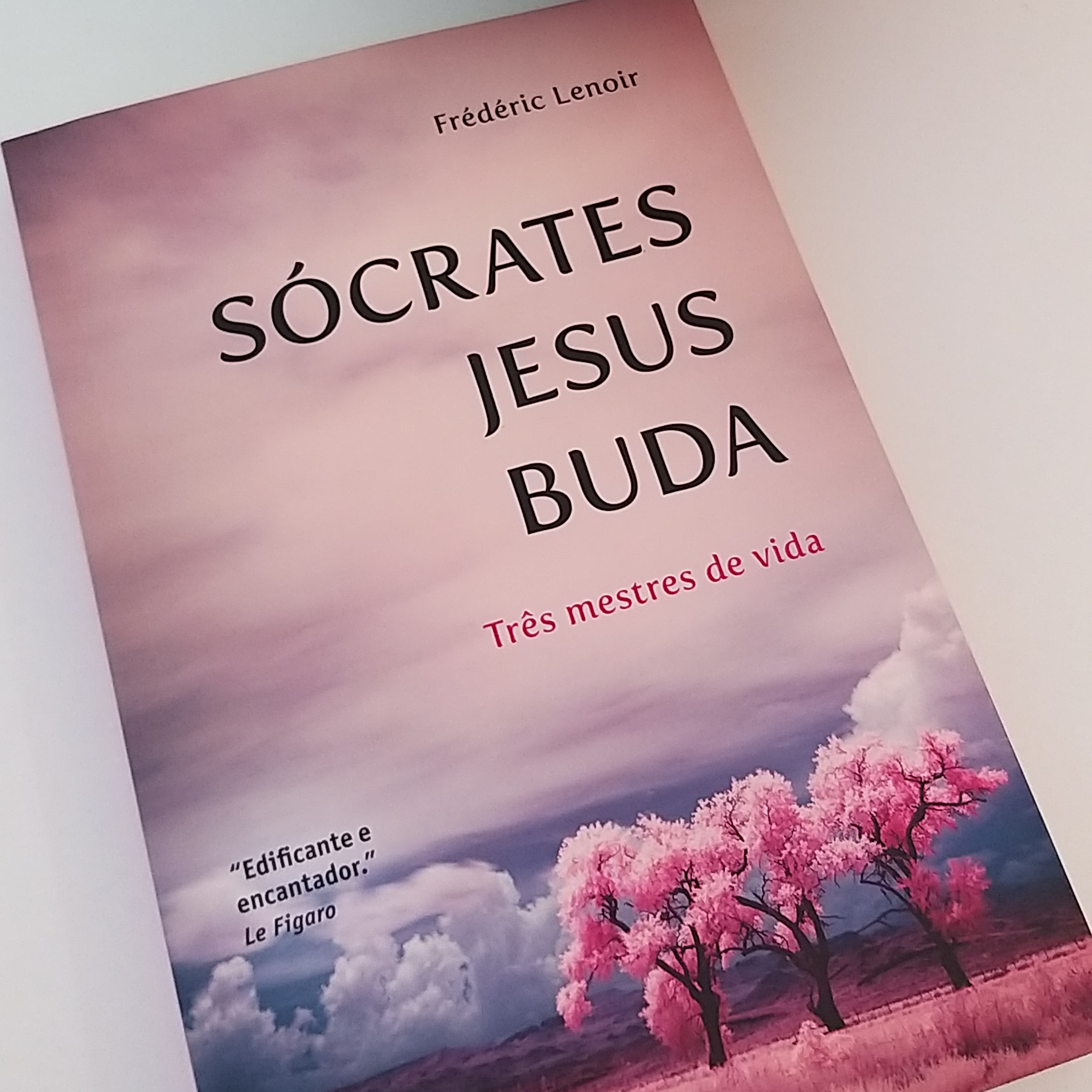 Leitura de Livros Extraordinários