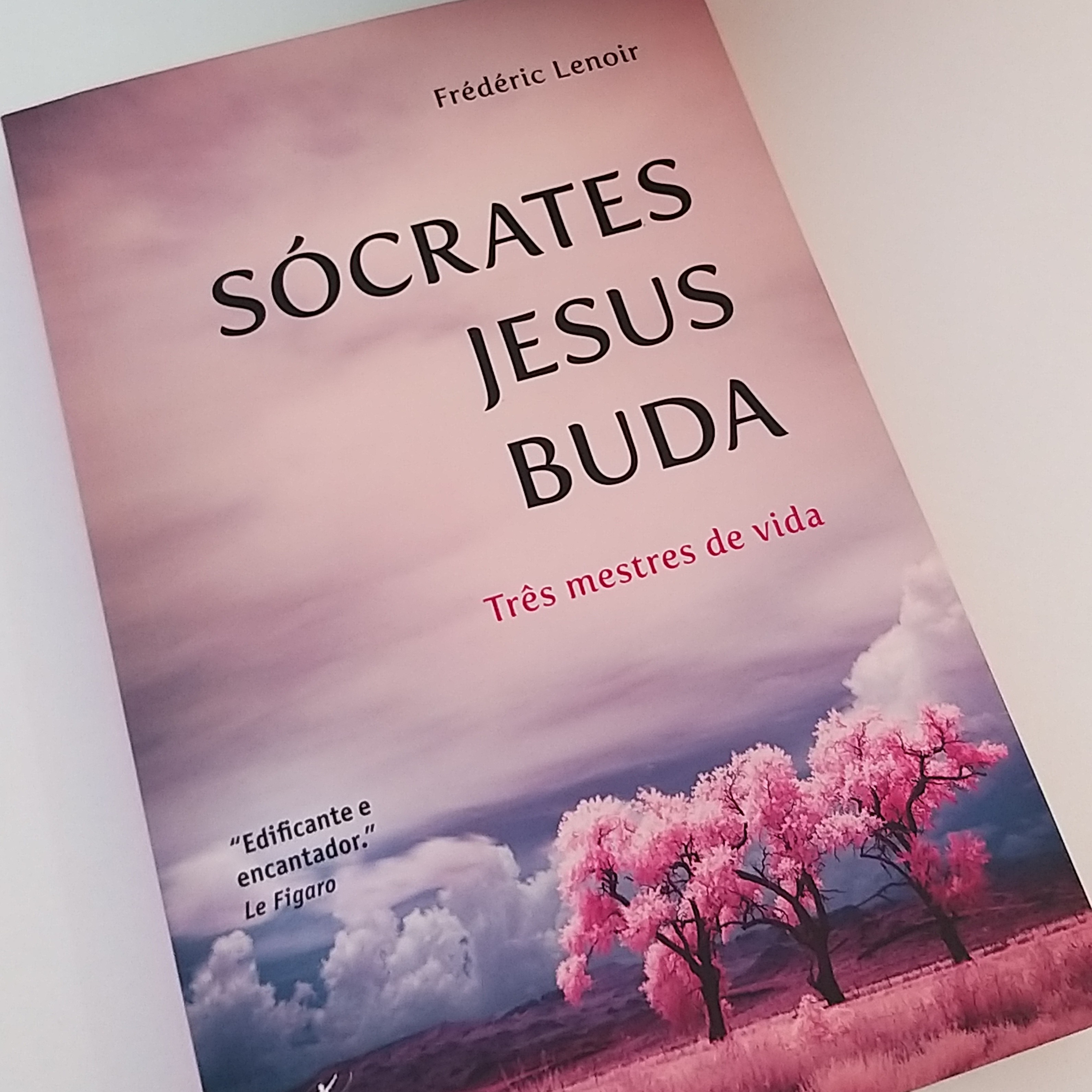 Leitura de Livros Extraordinários