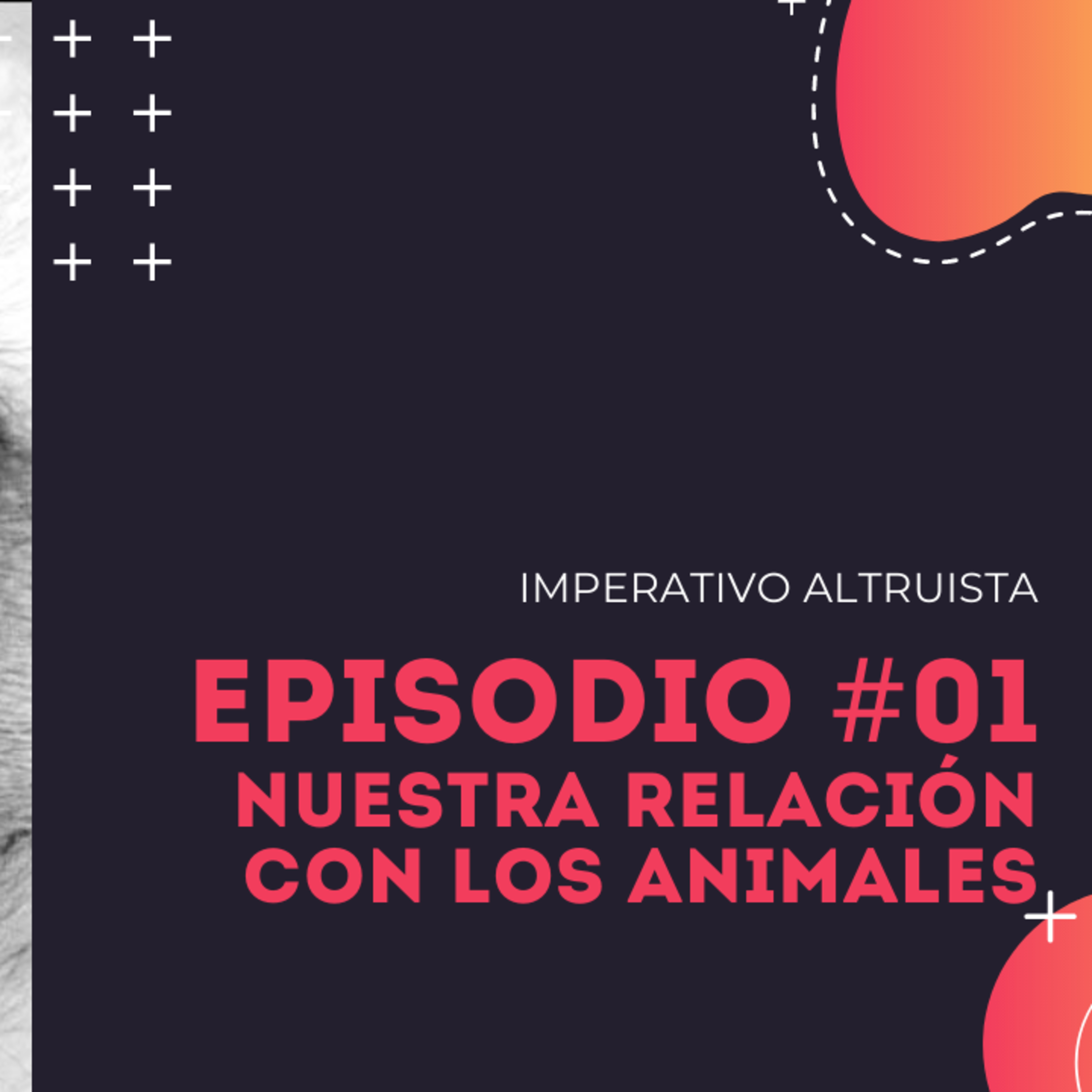 Imperativo Altruista Podcast