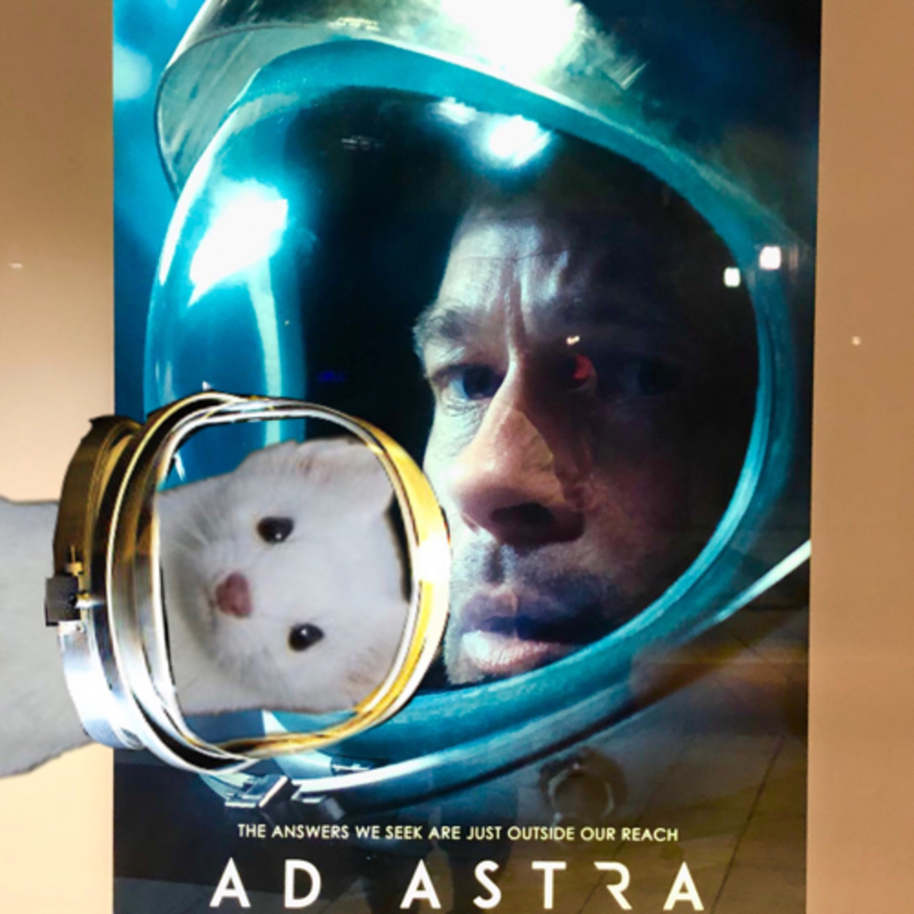Ep 40: Ad Astra  episode artwork