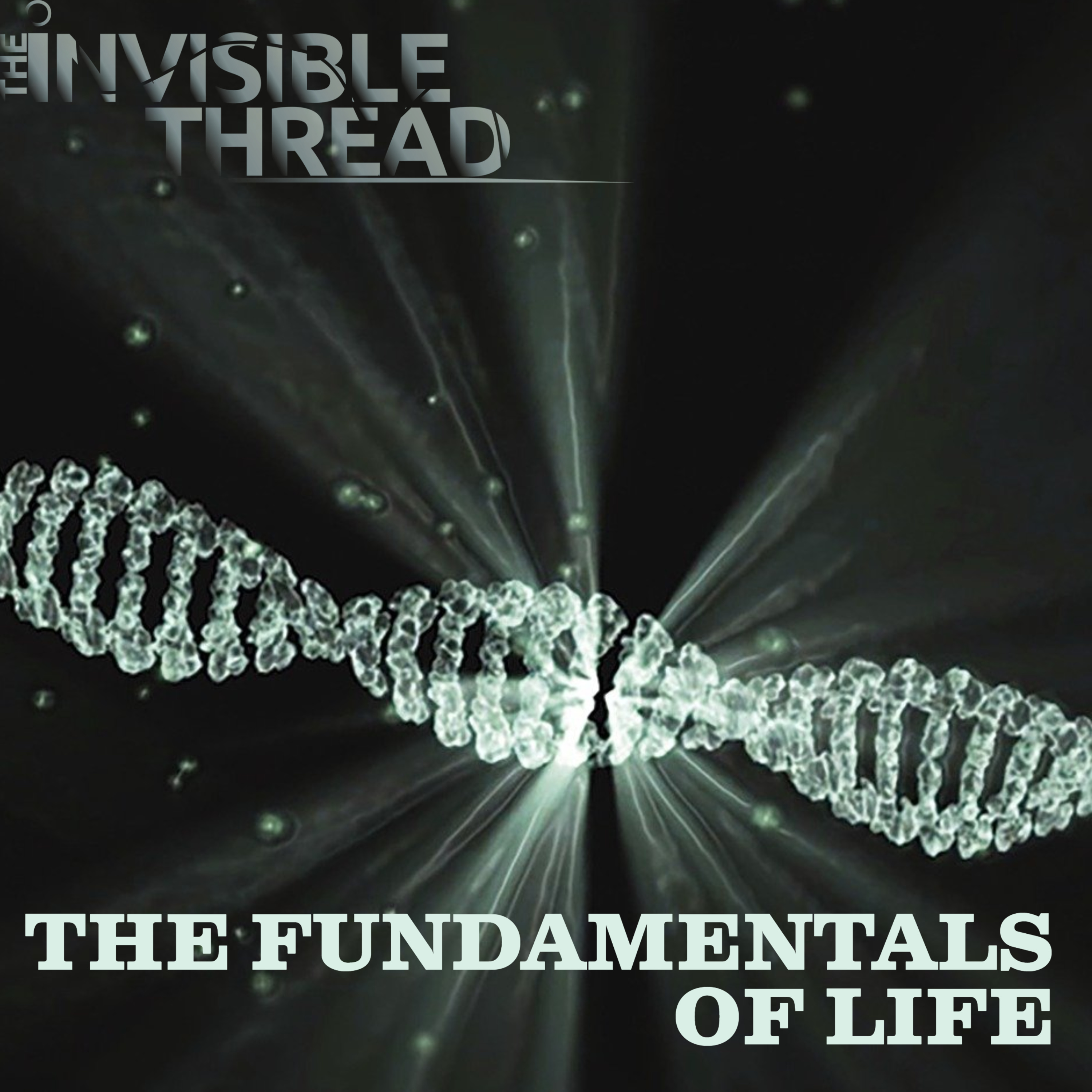 EP 112 | Fundamentals of Life Part 2