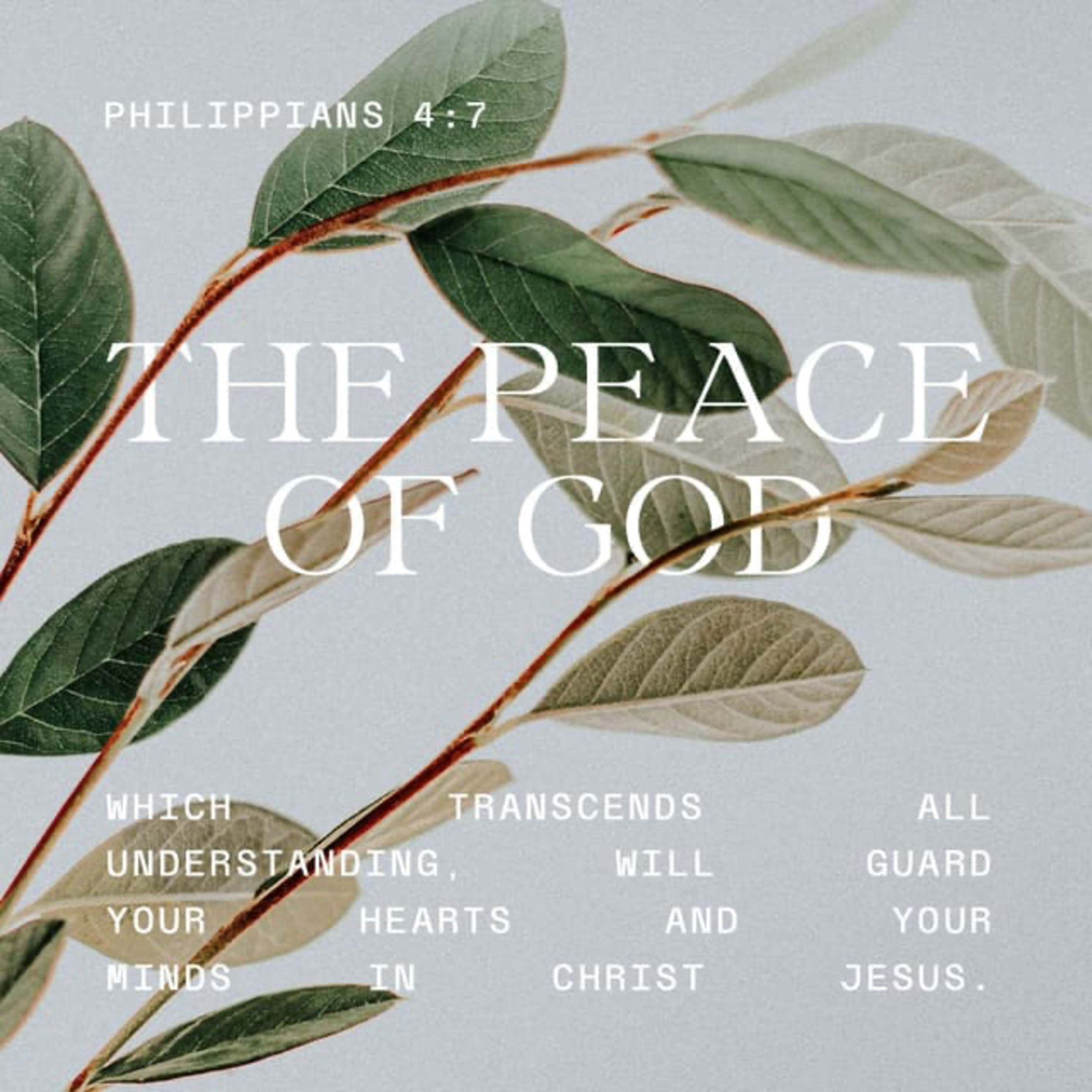 Trusting God by Jerry Bridges—Raquel Calderon episode artwork