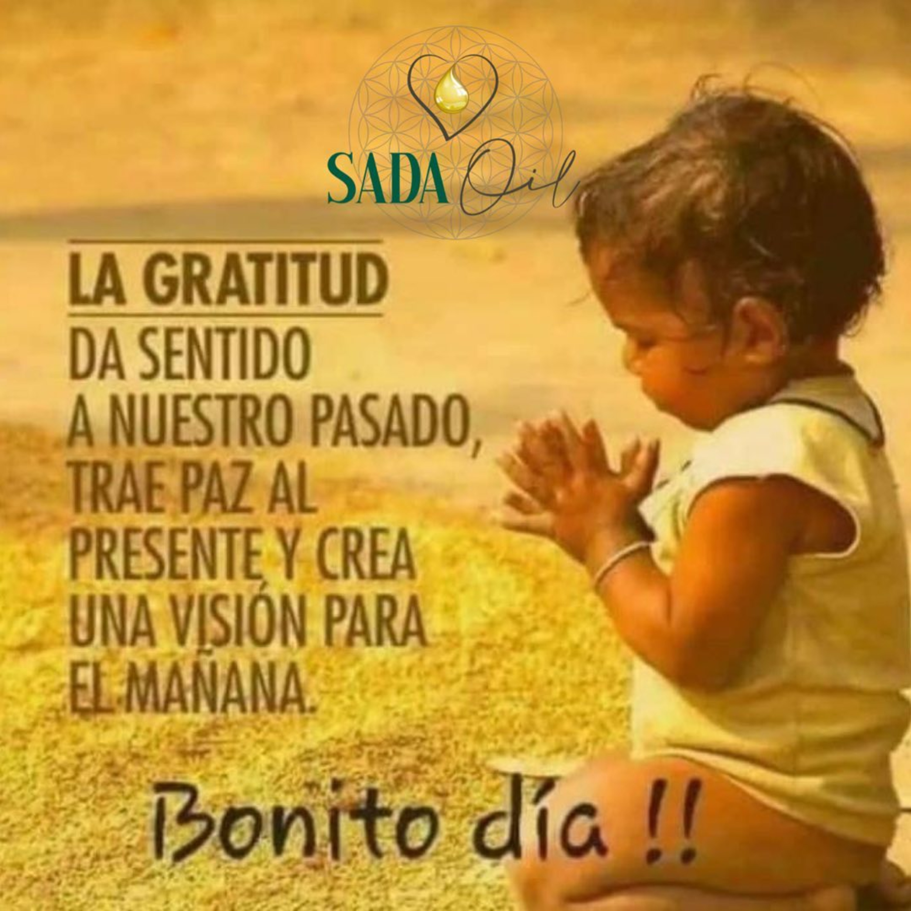 REFLEXION SADA ESTRELLAS DE MAR episode artwork