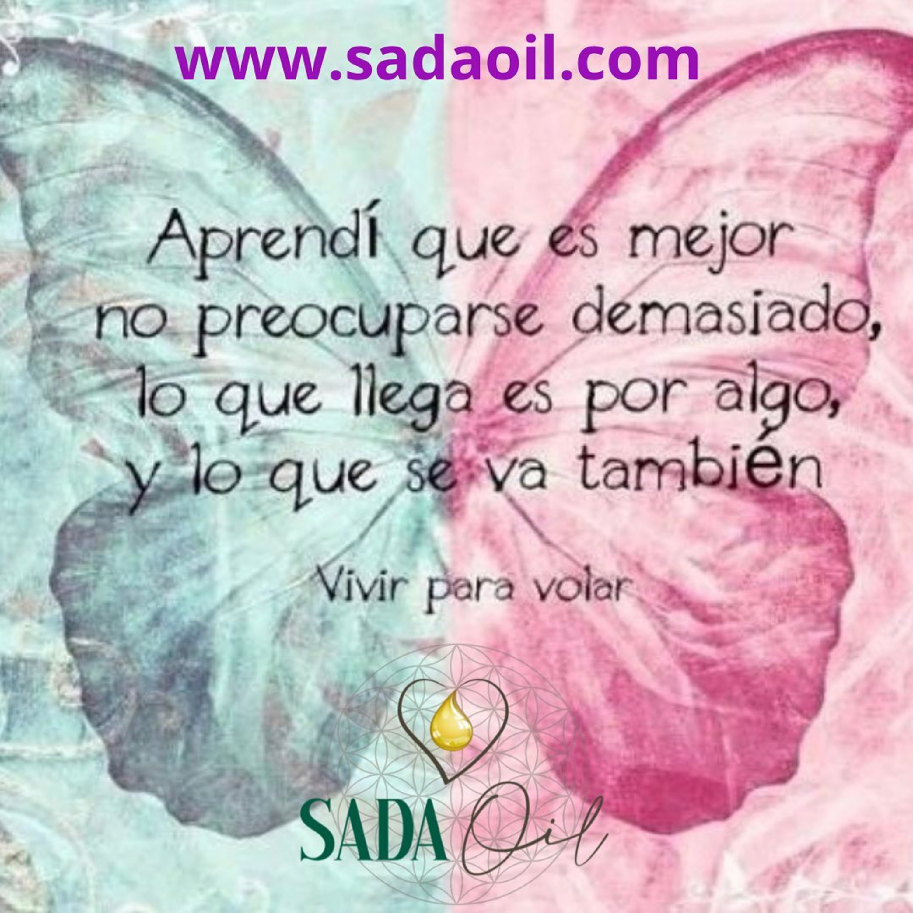 REFLEXION SADA UN SAPO HUALO episode artwork
