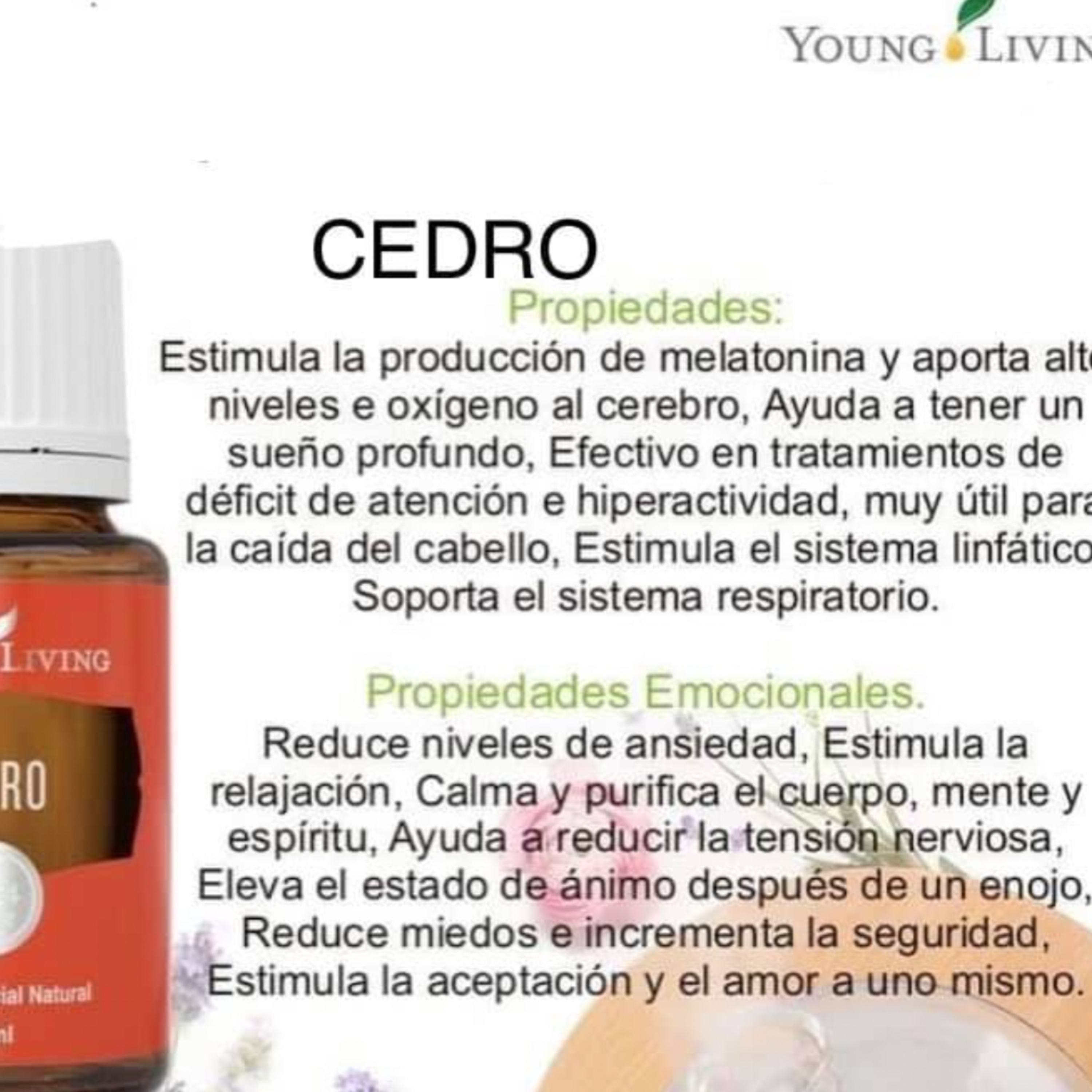 SEGMENTO SADA 12-11-21 USOS DEL ACEITE DE CEDRO episode artwork